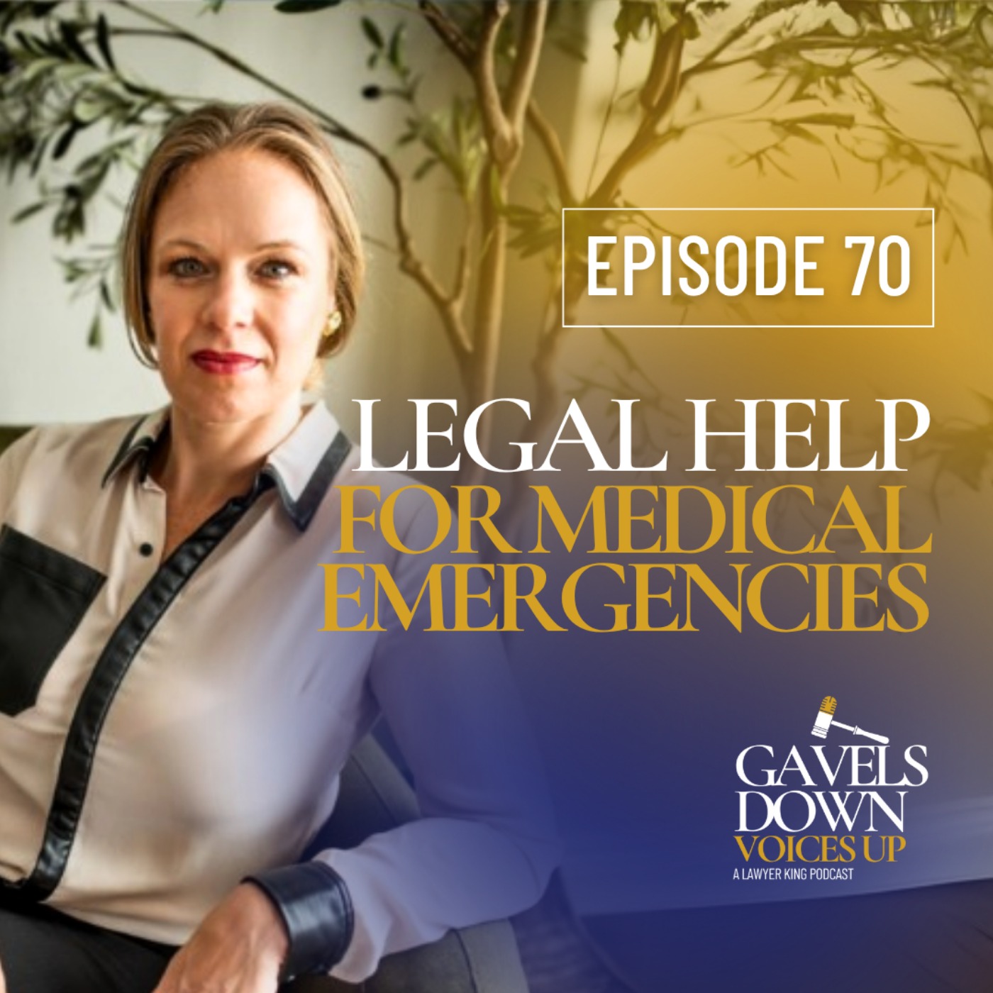 Gavels Down, Voices Up with Attorney Rachel King - Divorce Expert and Family Law
