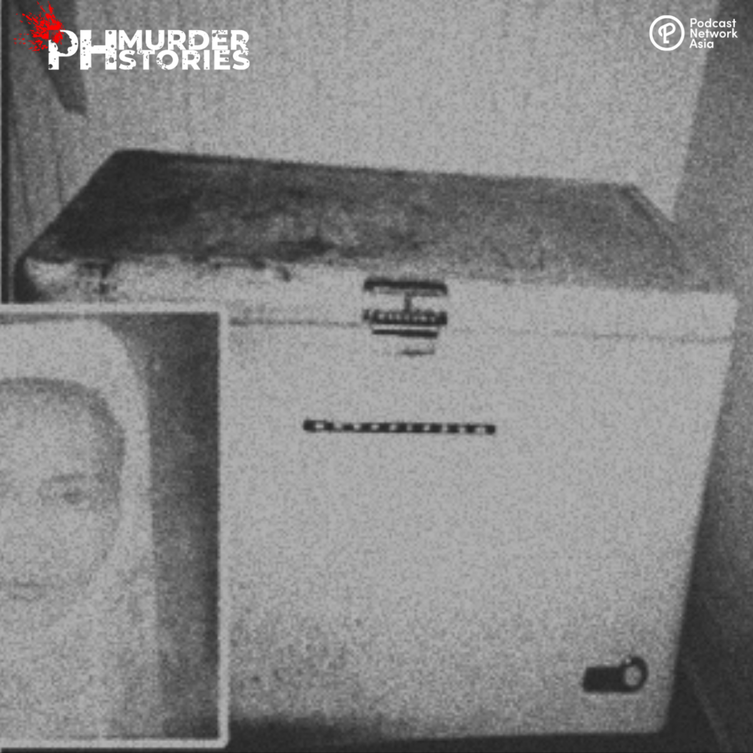 Filipina Found Inside A Freezer: The Gruesome Murder of Joanna Demafelis (2016)