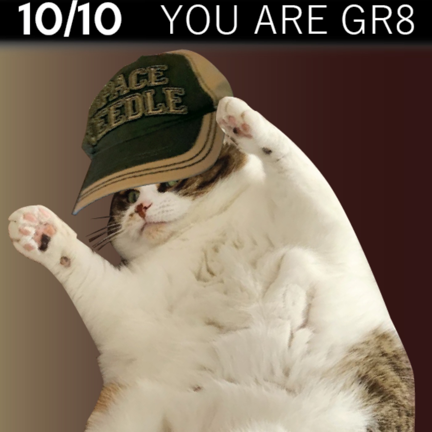 10/10 You\'re Great