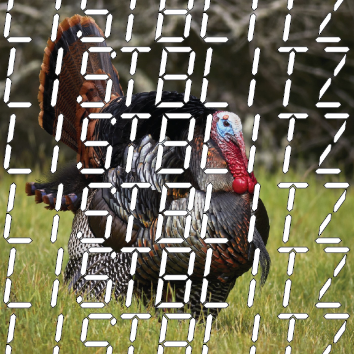 10/10 You\'re Great
