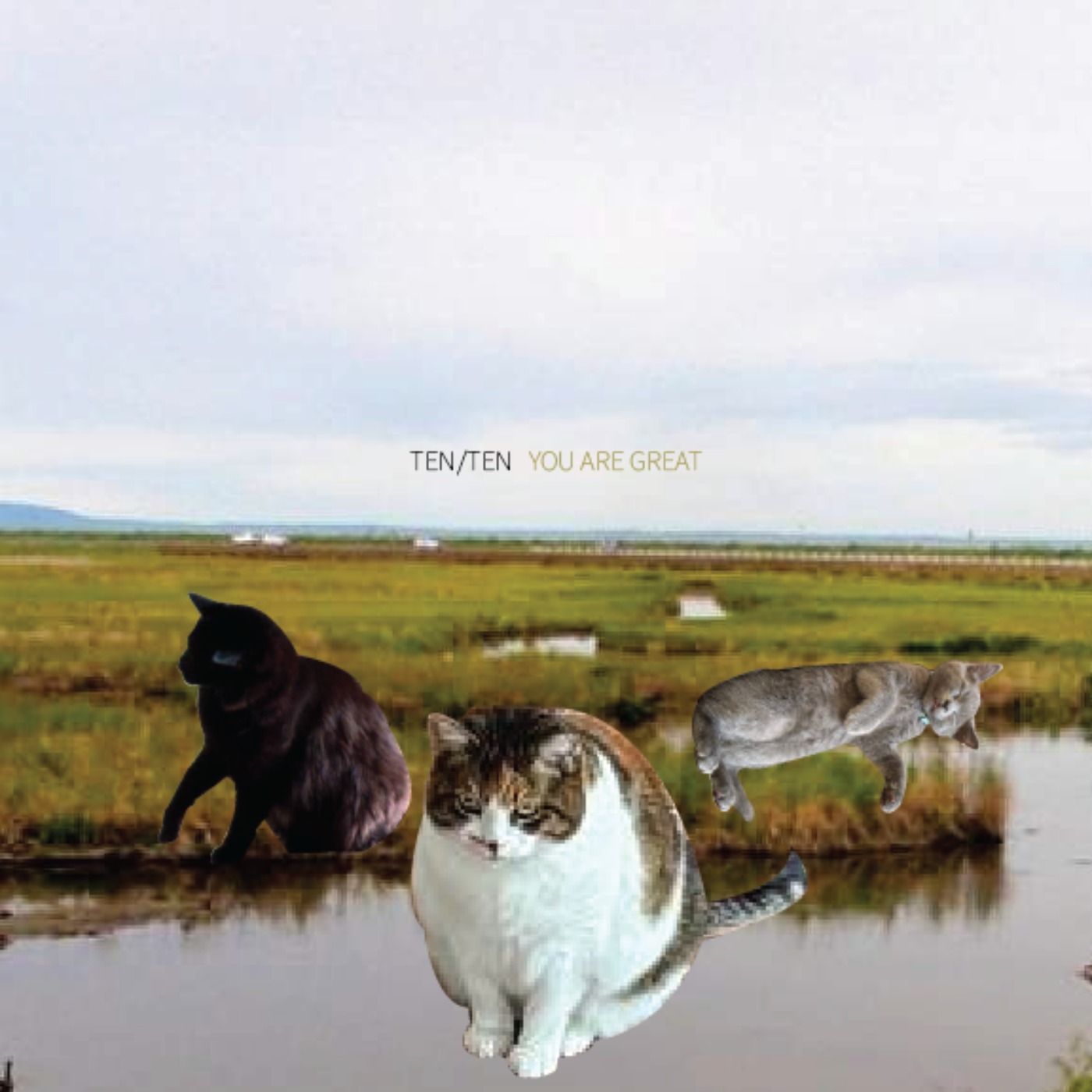 Five for Foxing: The Albatross