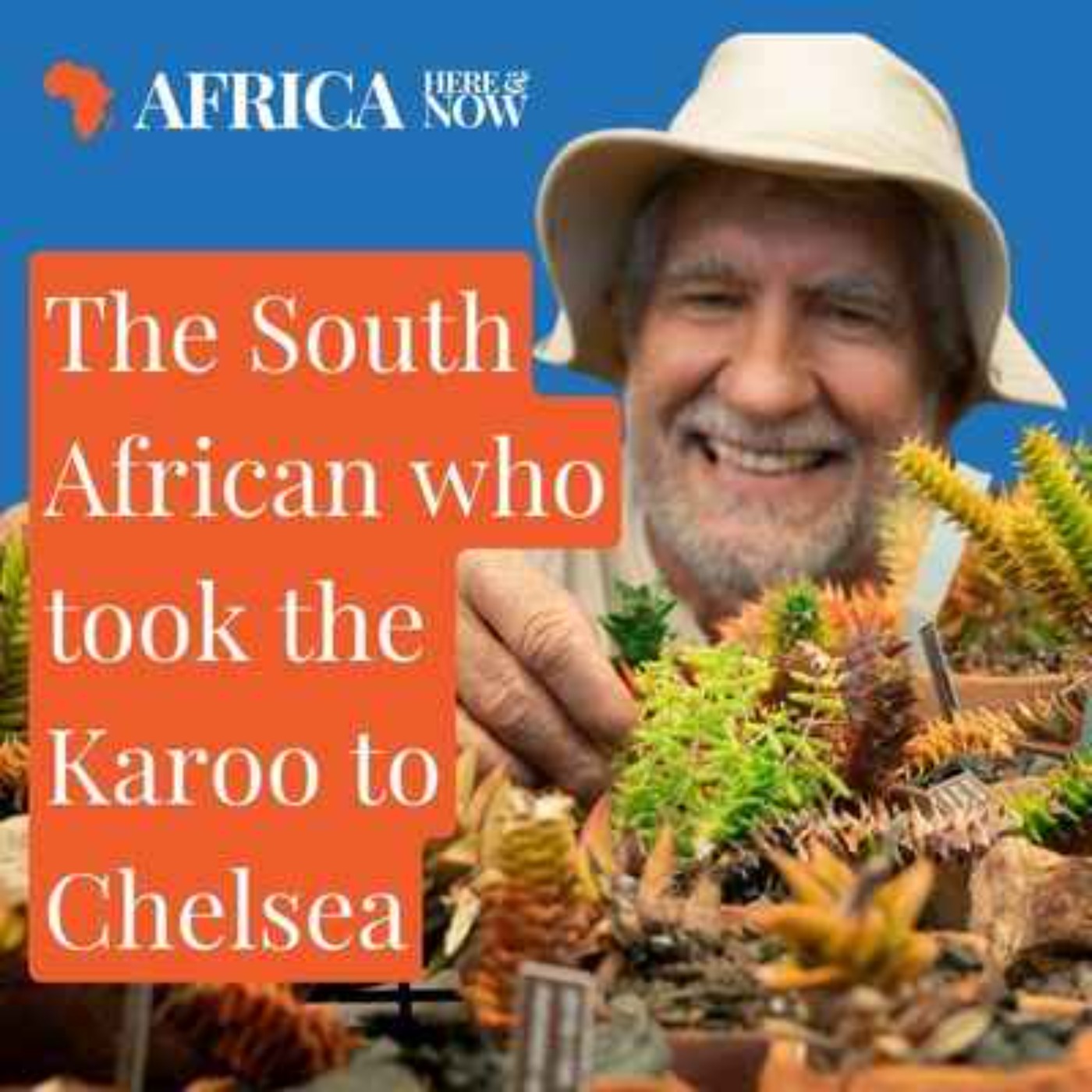 Africa Here and NOW
