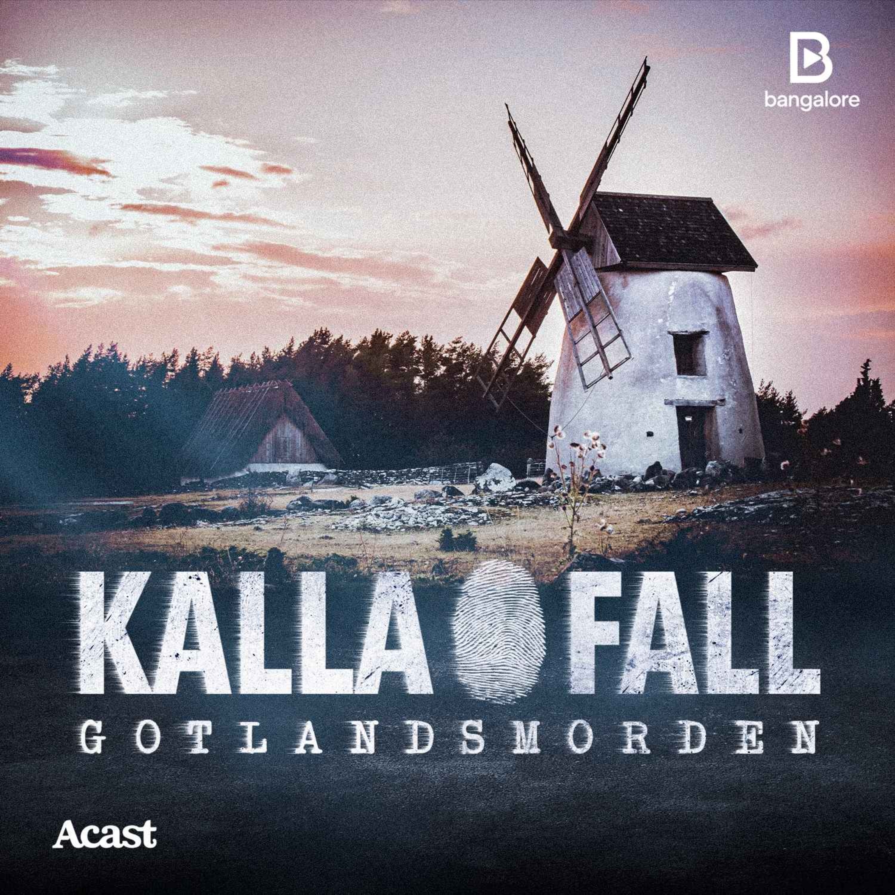 Kalla Fall - Bonusavsnitt: Vi har fått tillstånd att gräva! episode artwork