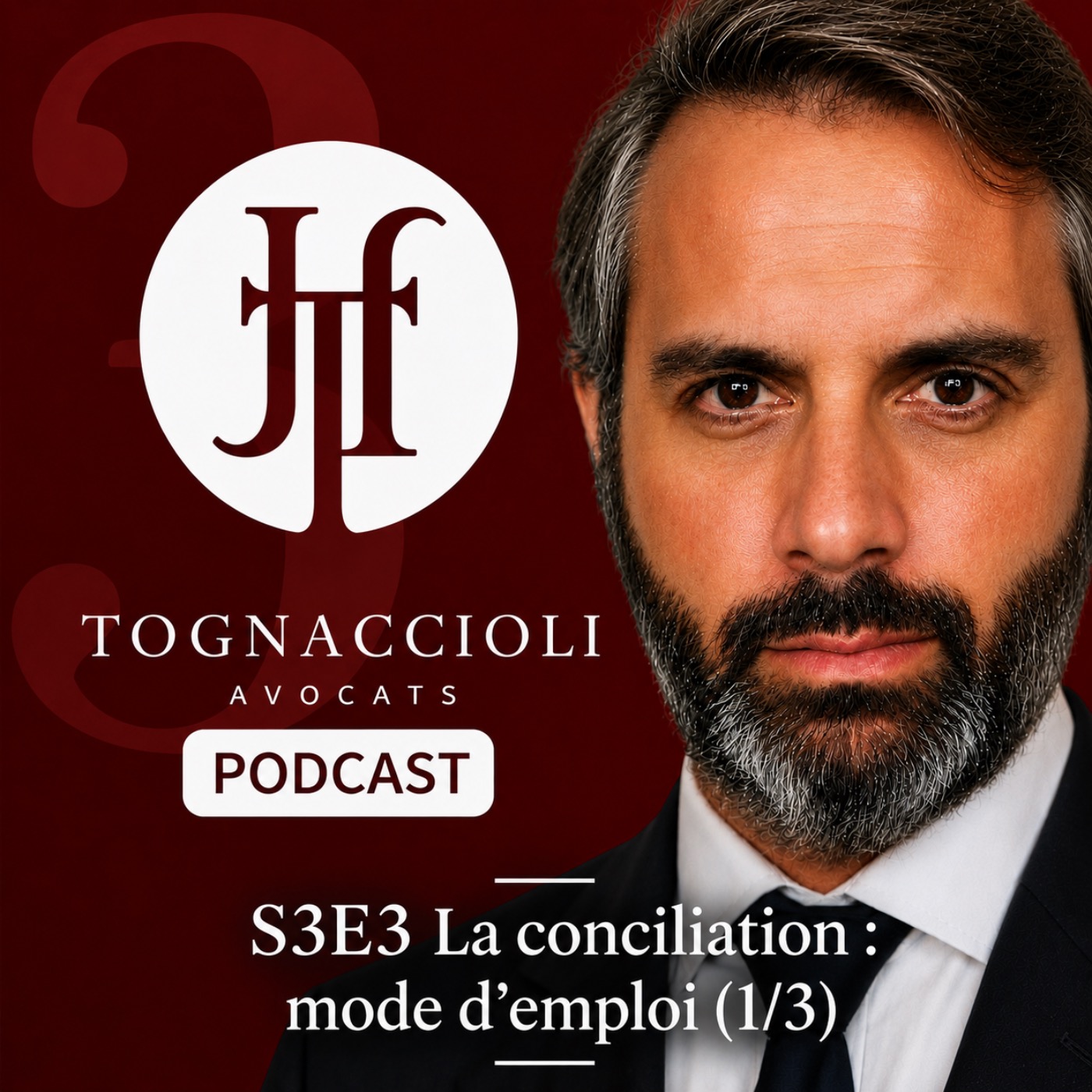 Pochette de l'épisode La conciliation : mode d'emploi (1/3)