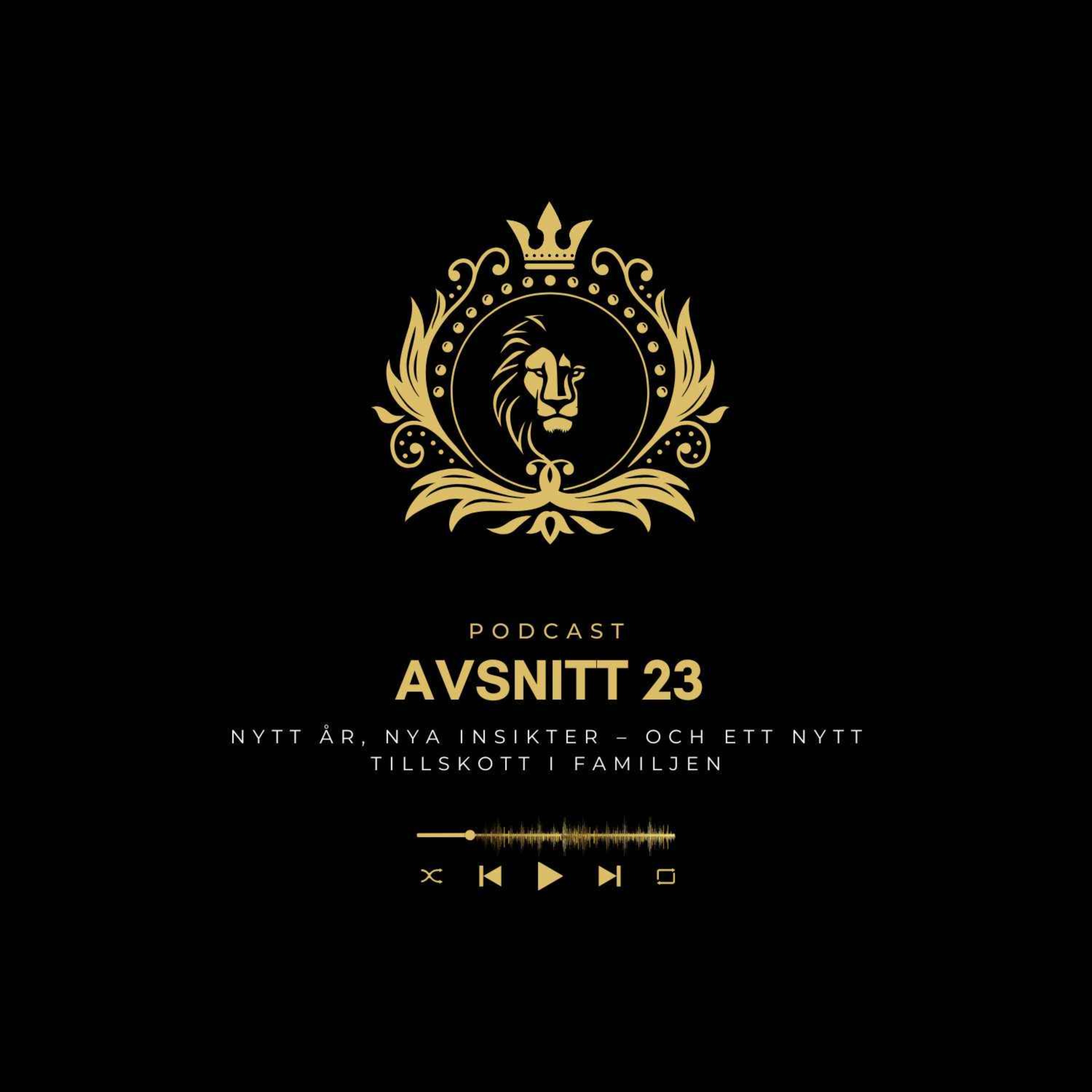 Avsnitt 23 - Nytt år, nya insikter – och ett nytt tillskott i familjen episode artwork