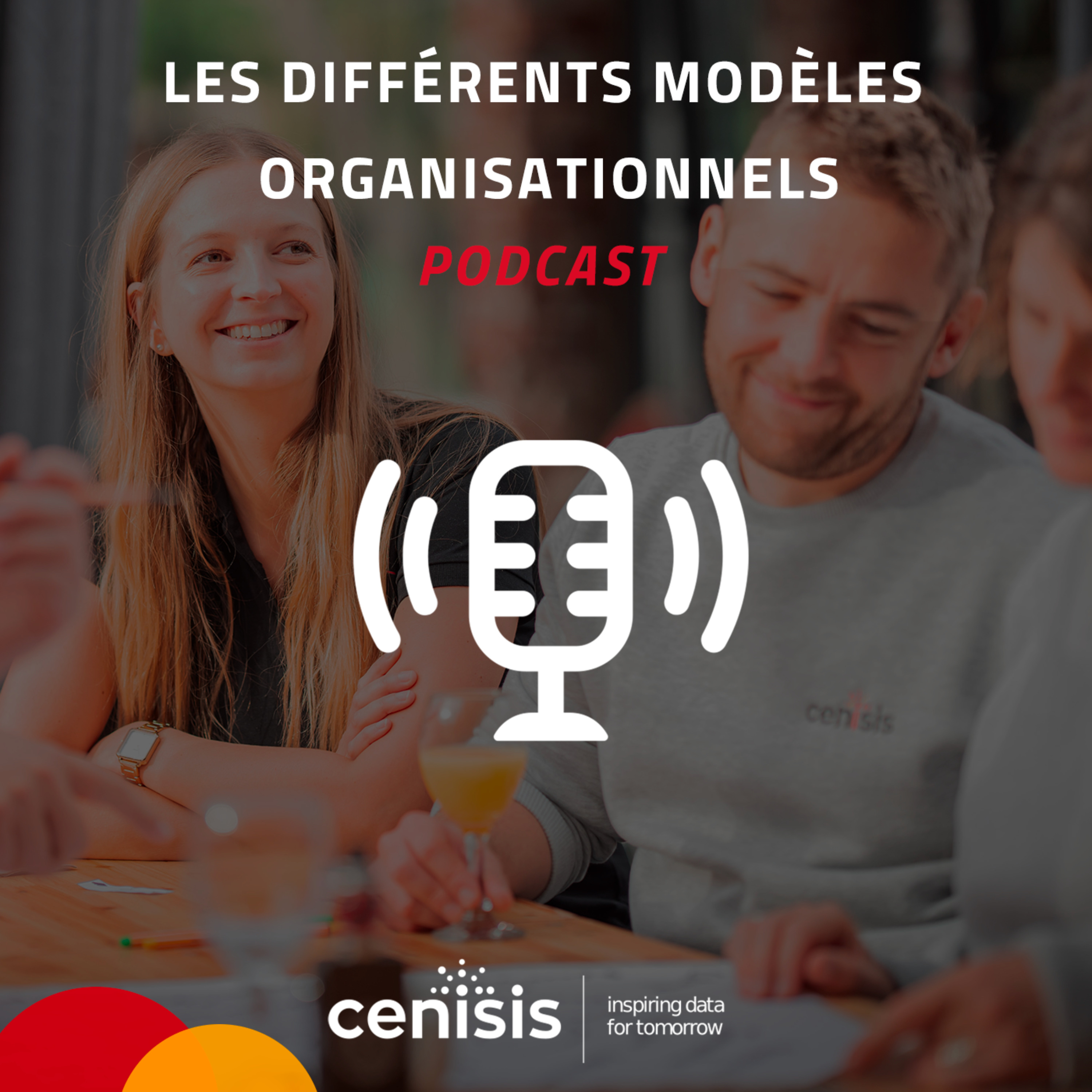 LES DIFFÉRENTS MODÈLES ORGANISATIONNELS episode artwork