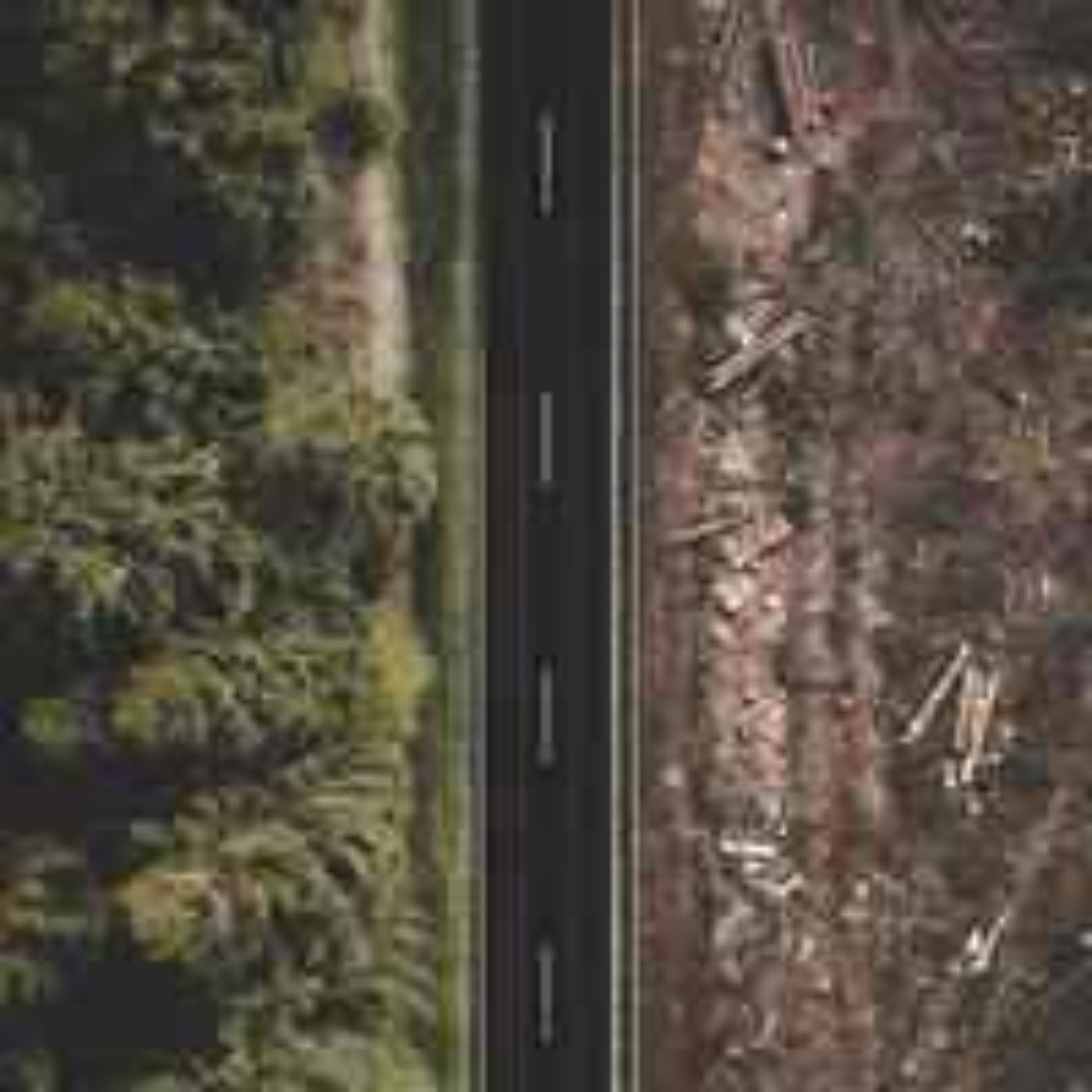 Les crises environnementales : le changement d'affectation des sols