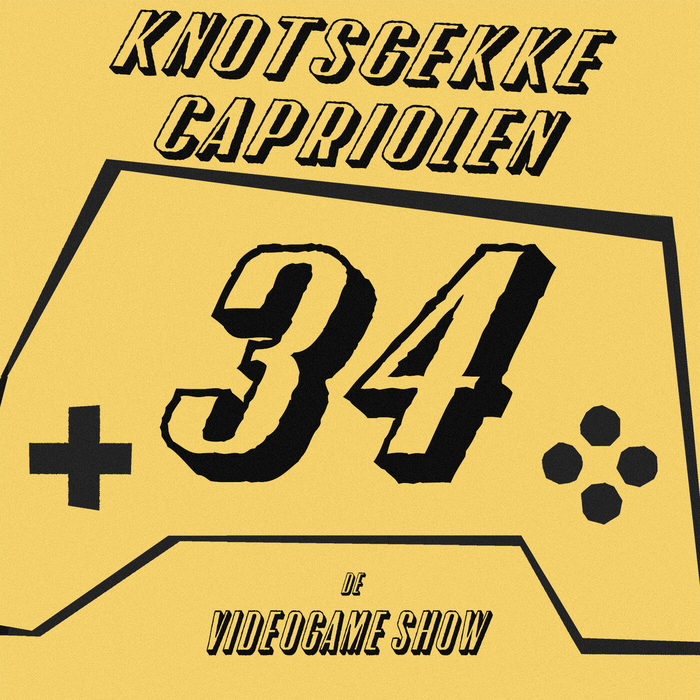 De Videogame Show