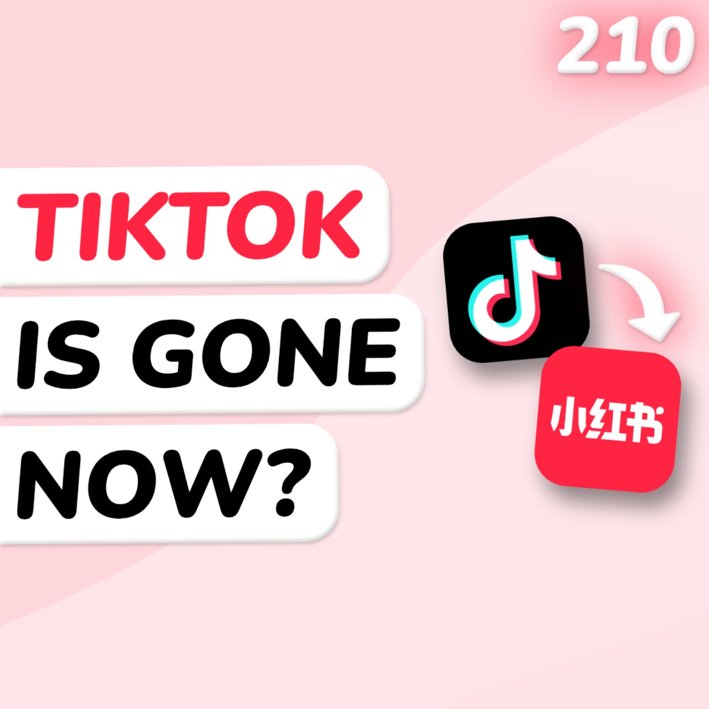 TikTok's uncertain future in the US, criticisms of Session's safety, and tons of political updates - podcast episode cover