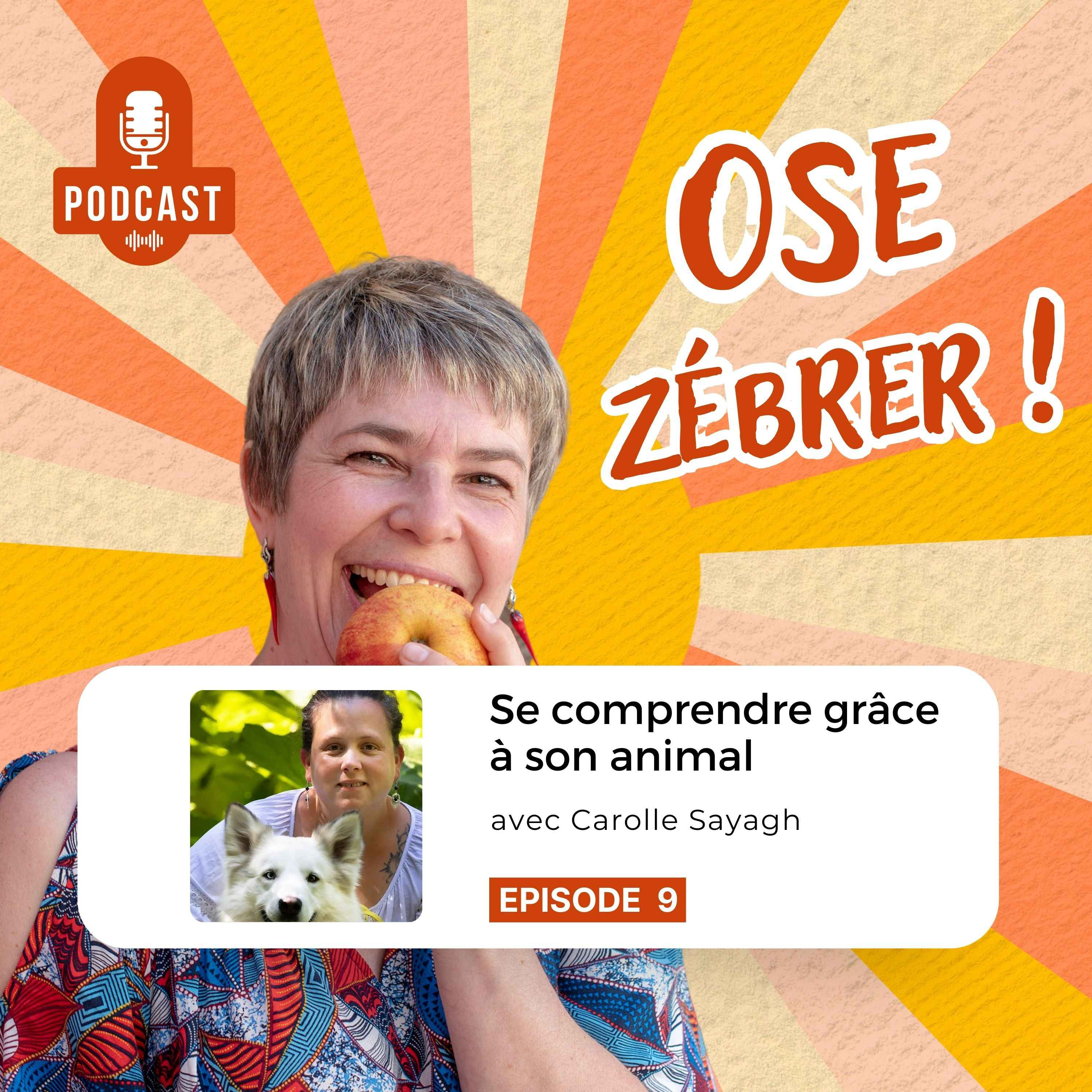 Ose zébrer ! avec Vesselina Malhomme