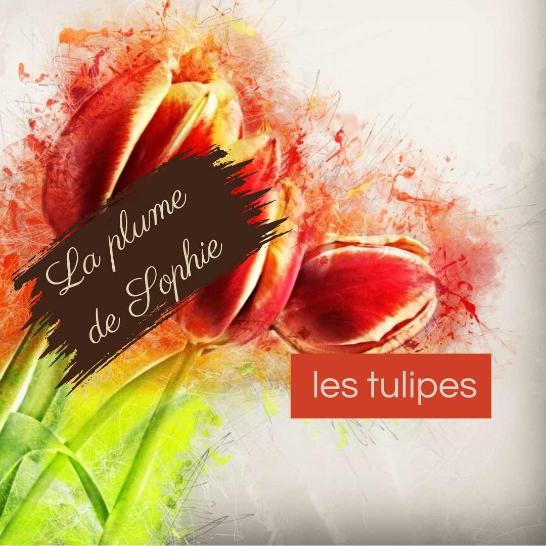 LA PLUME DE SOPHIE