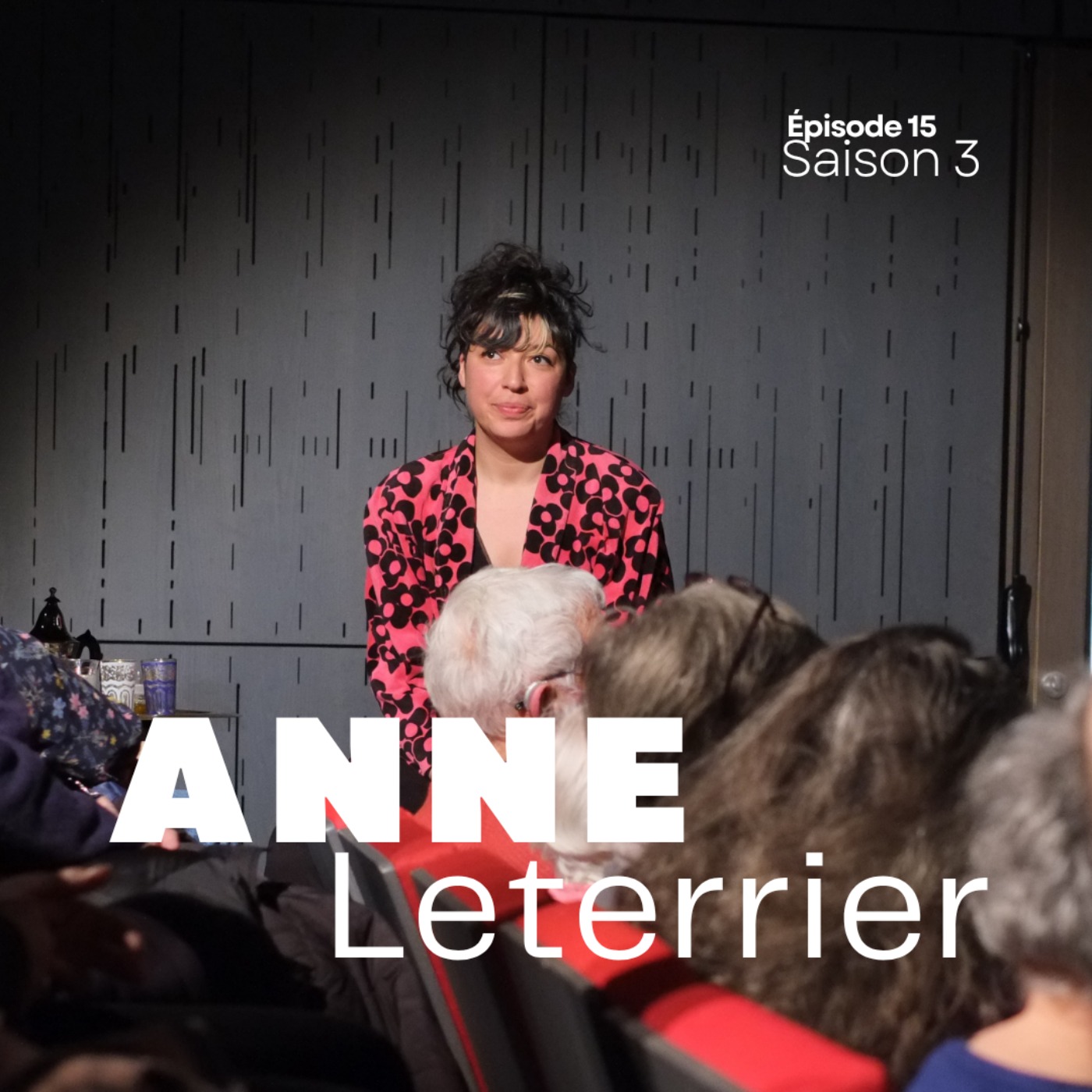 Anne Leterrier episode artwork