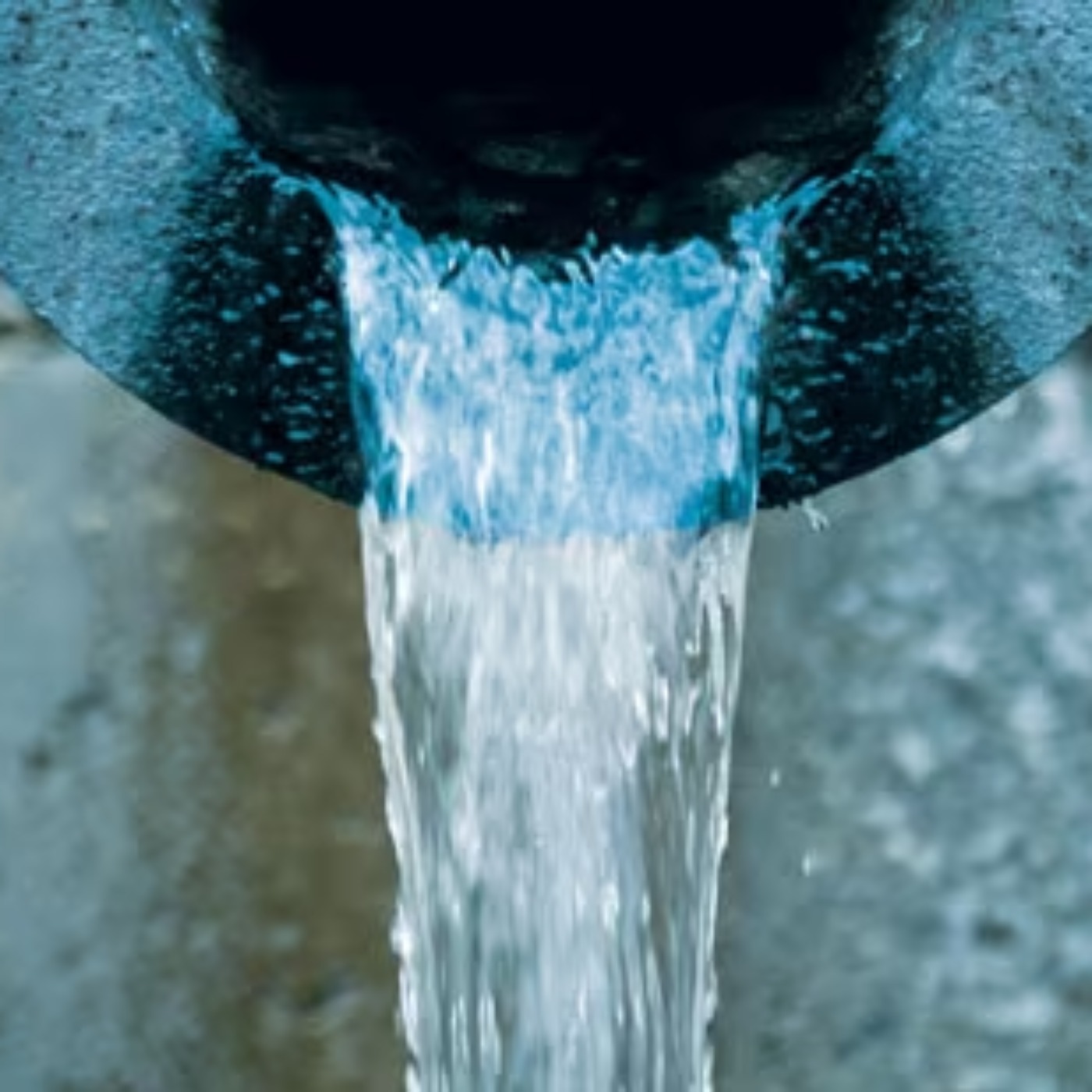 Kate Shemirani: Water - Why Our Stomach Needs It - The Medical Paradox