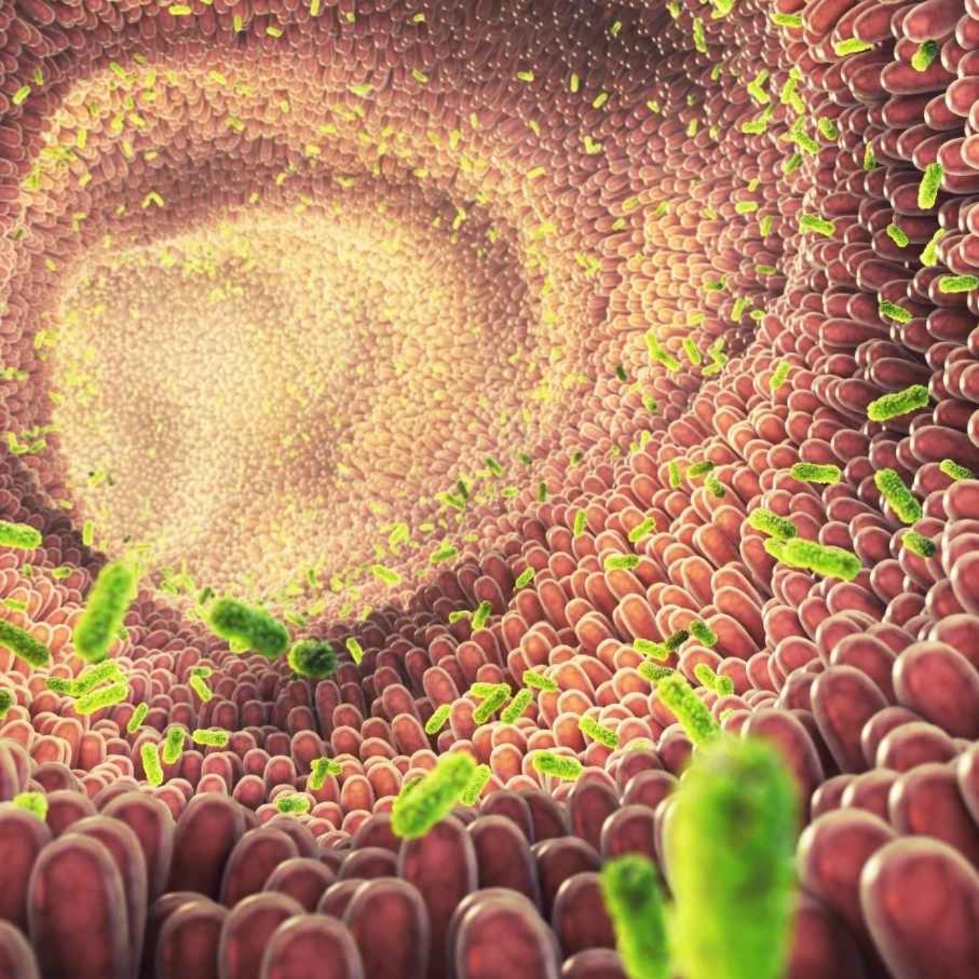 The Microbiome: How The Shots & Antibiotics Are Destroying It By Design