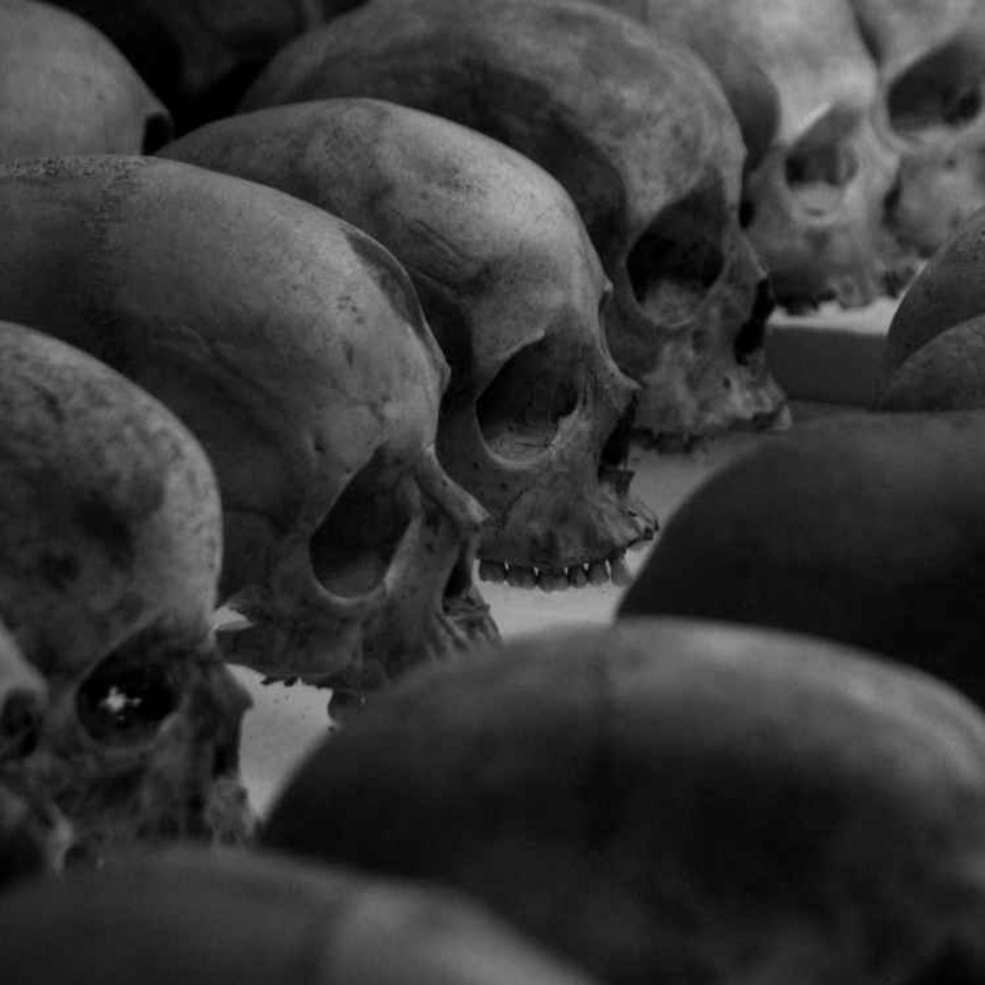 Kate Shemirani: The Biggest Genocide In The World Isn't Coming From Big Pharma...