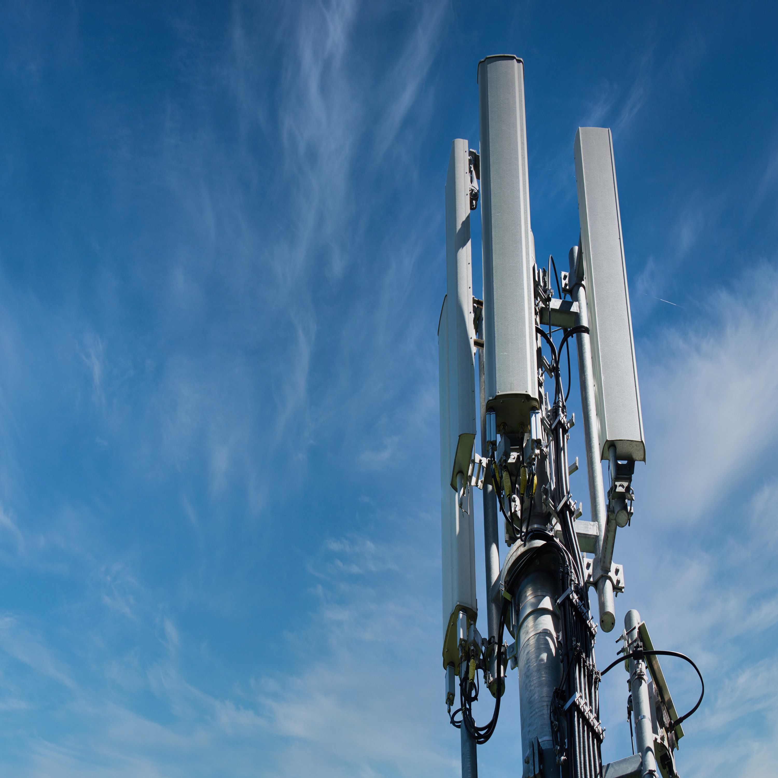 Kate Shemirani & Mark Steele: Energy Weapons On The Streets