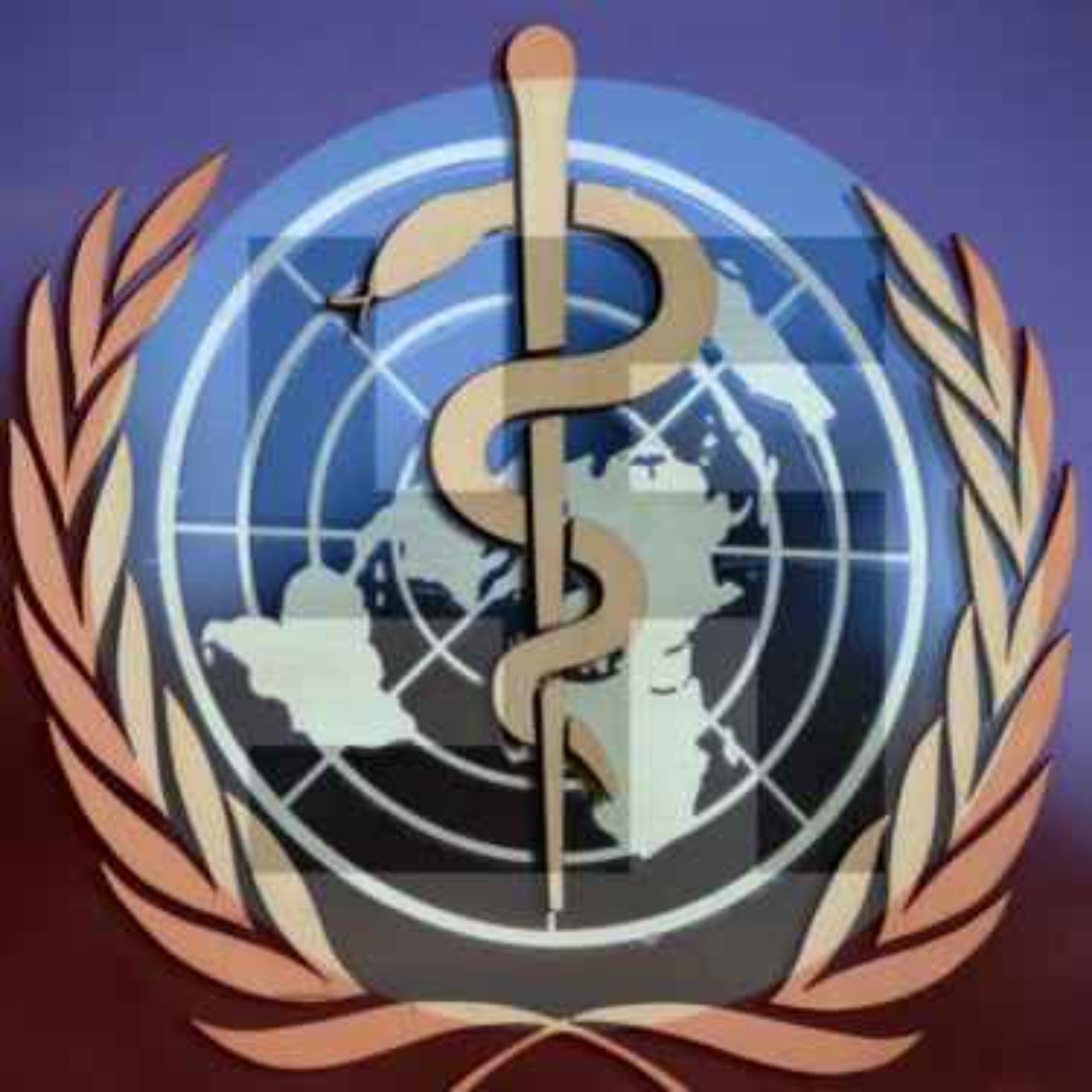 James Roguski Exposes The Tyrannical Power Grab By The World Health Assembly