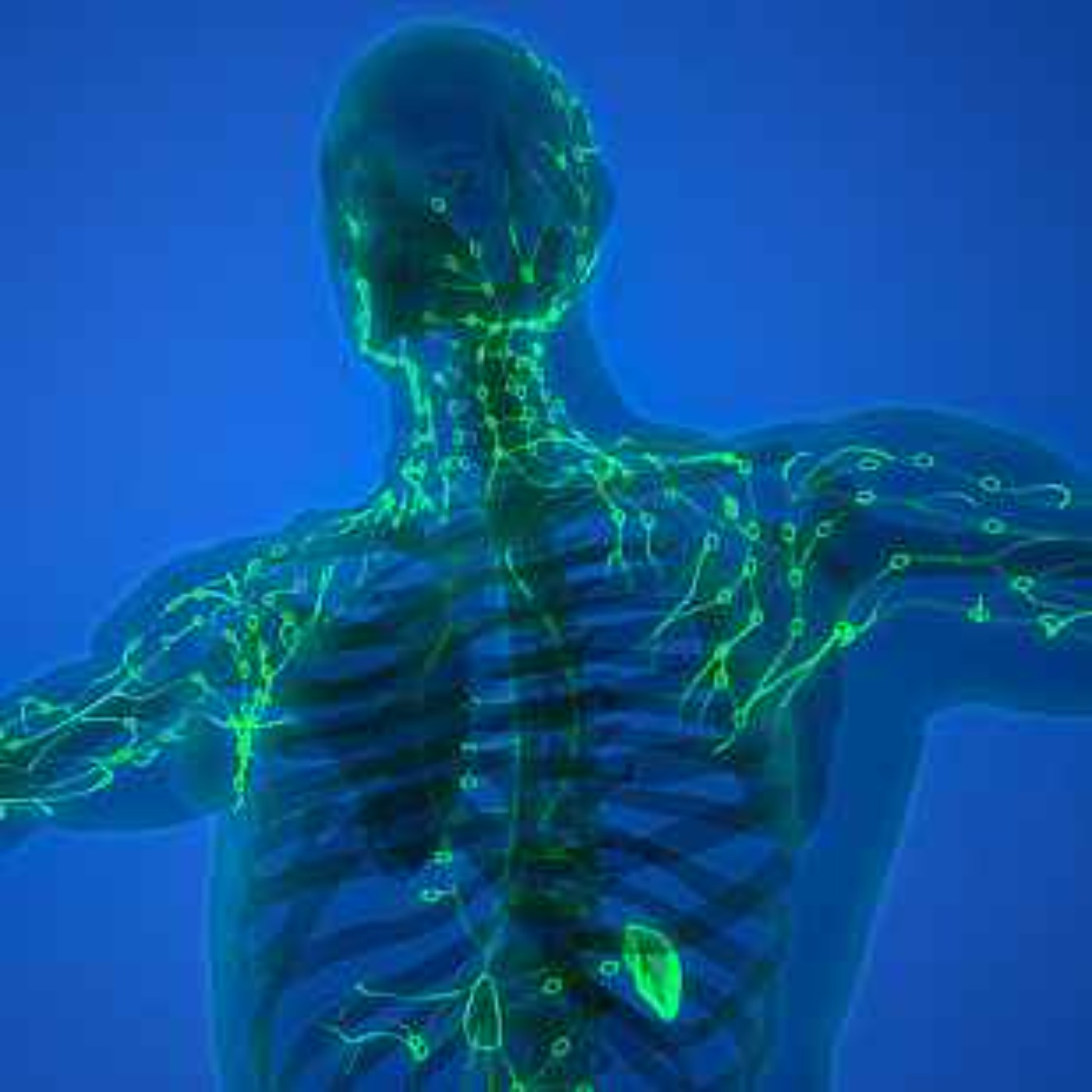 Kate Shemirani: Latest Explosive Numbers In UK For Refusal & Lymphatic Flush