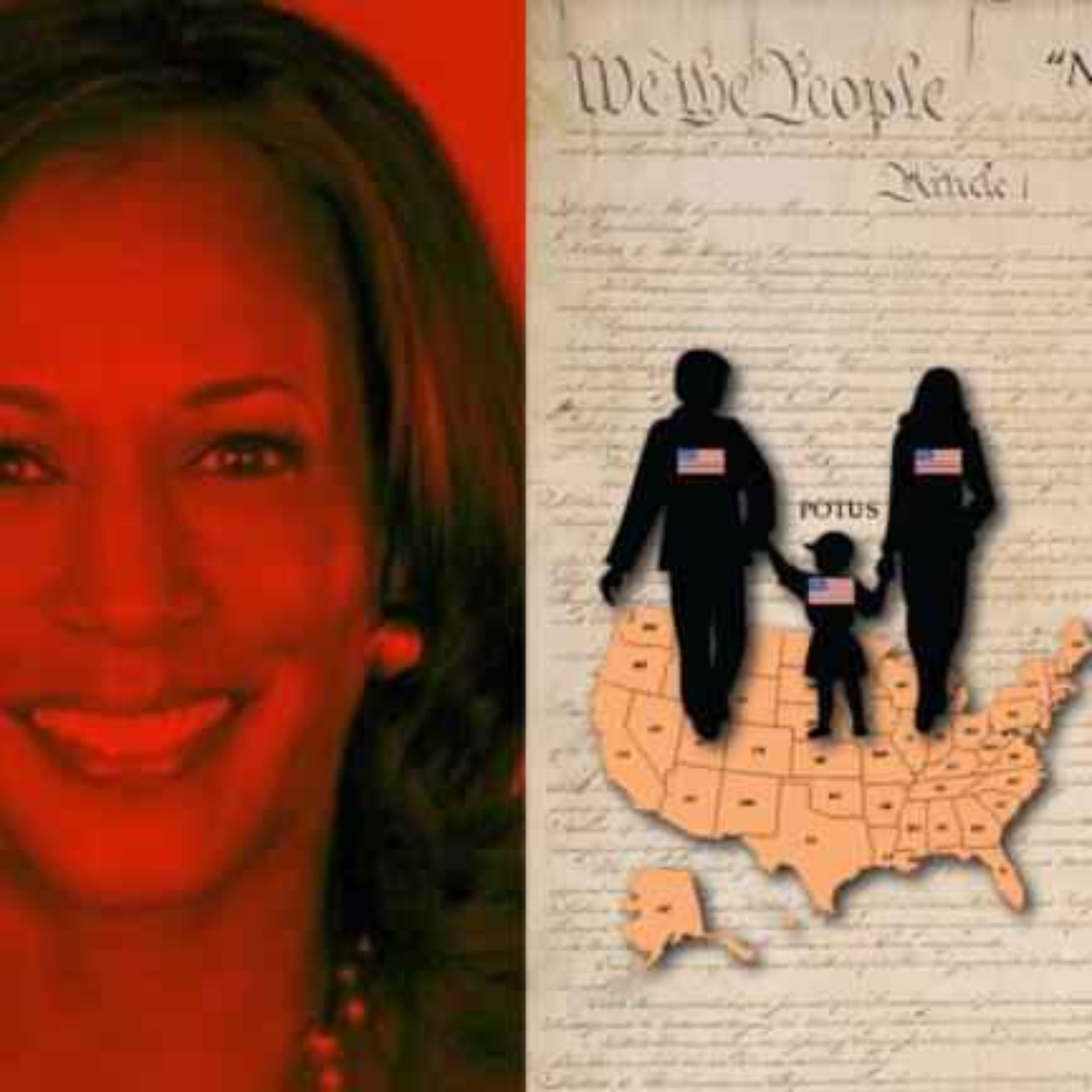 Just Like The Usurper, Kamala Harris Is Not A Natural Born Citizen & Here's The Evidence
