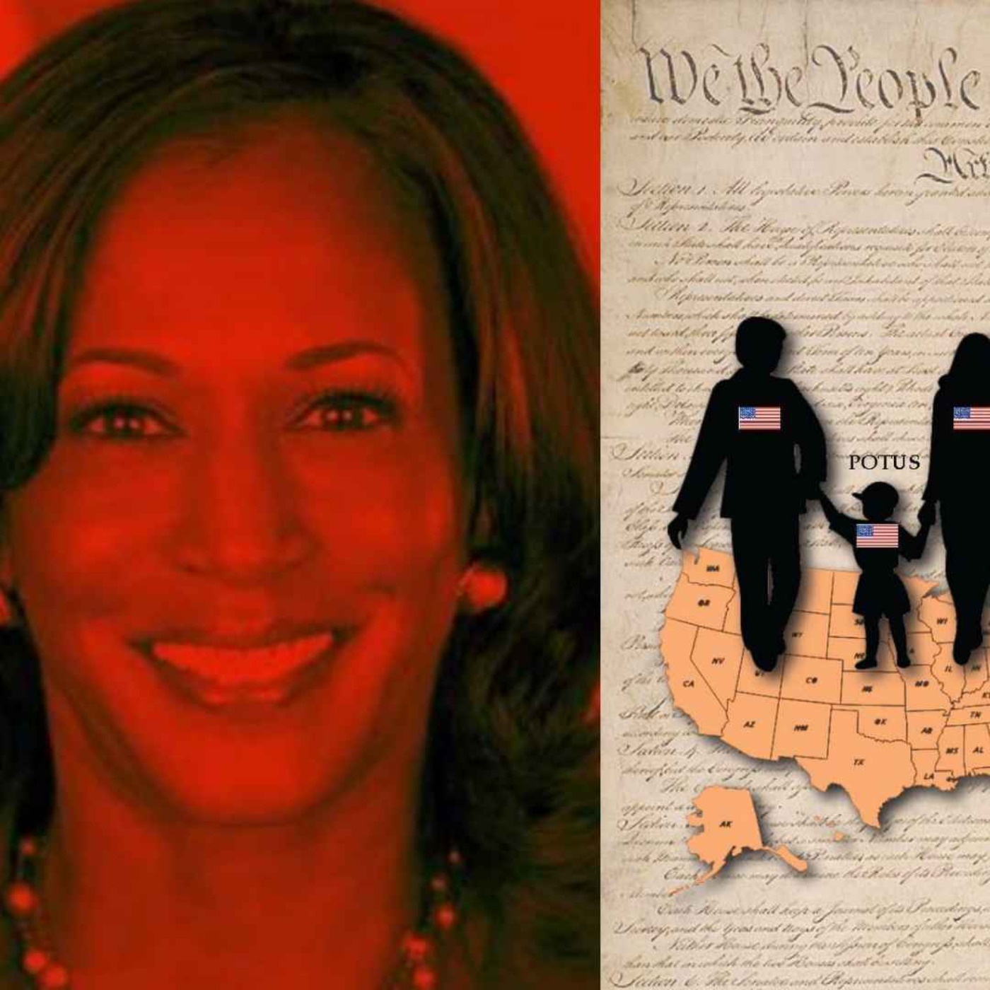 The Natural Born Citizen Issue Is Front & Center Again!