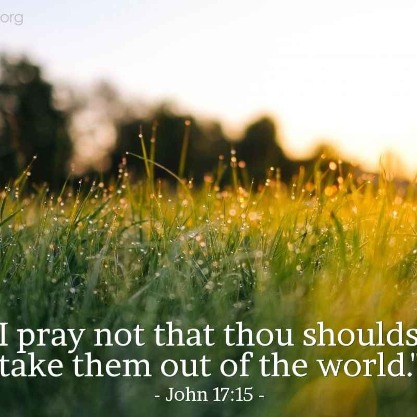 Why Are So Many Looking To Be 'Raptured' When Jesus Prayed The Opposite?