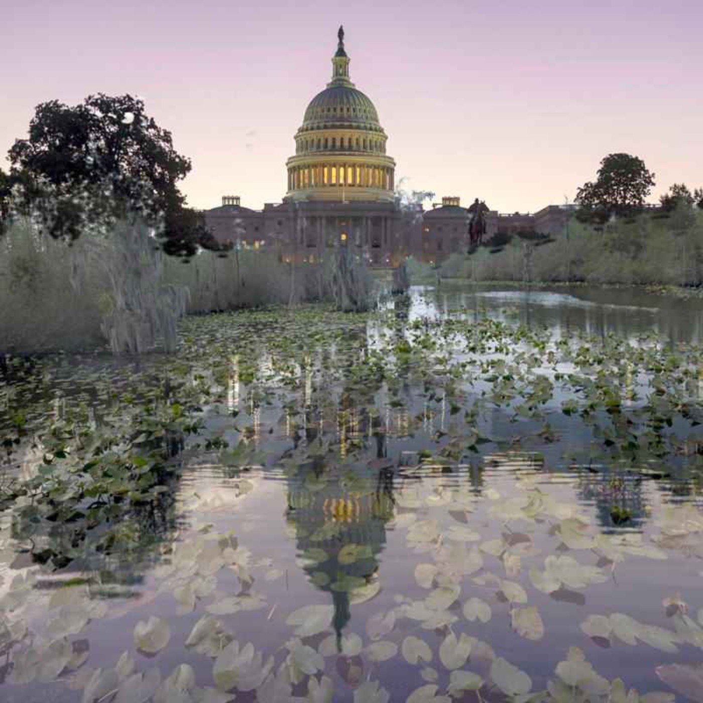 The Swamp & Education: Where Will We Go Now?