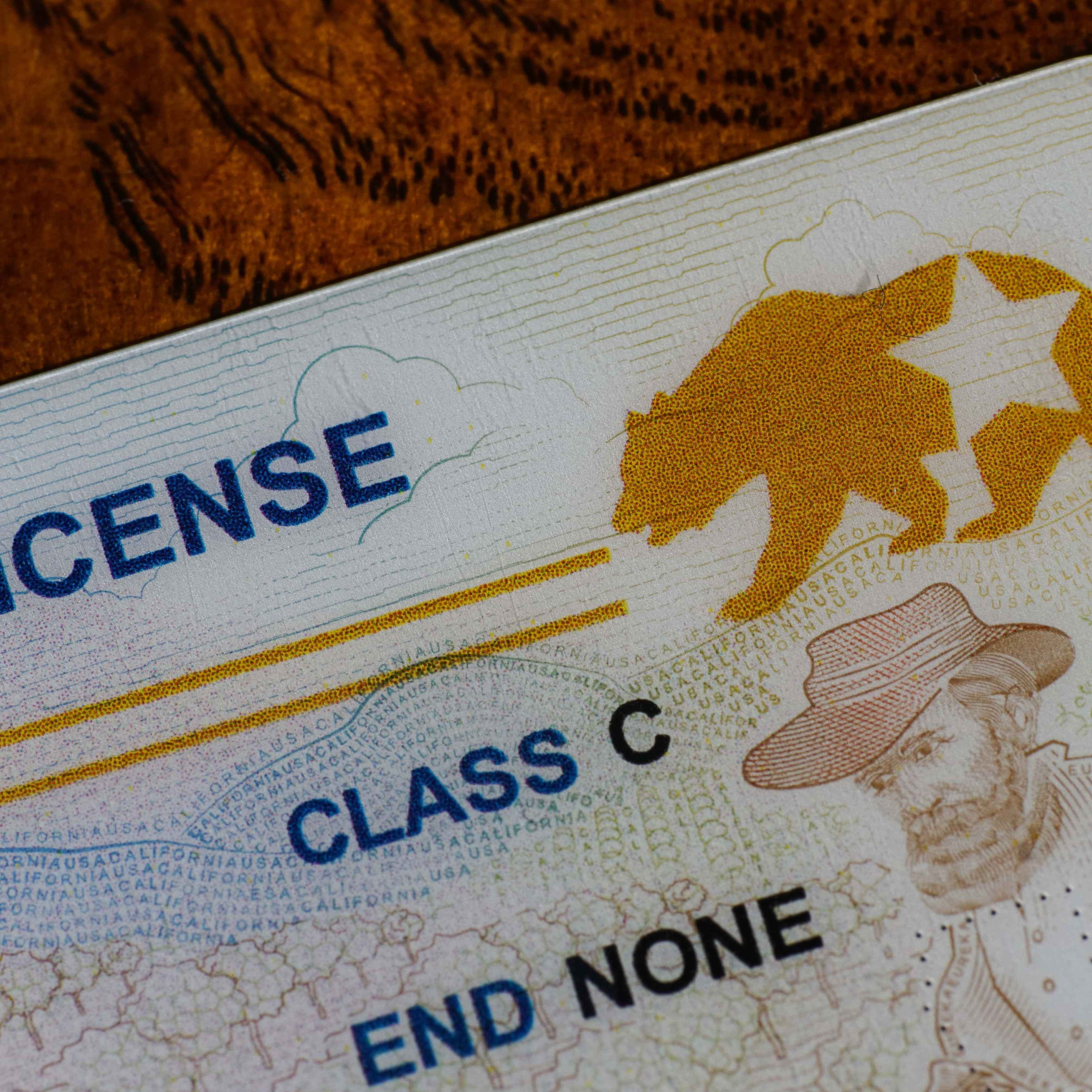 The Dangers Of REAL ID & A Real Solution Available To You Now!