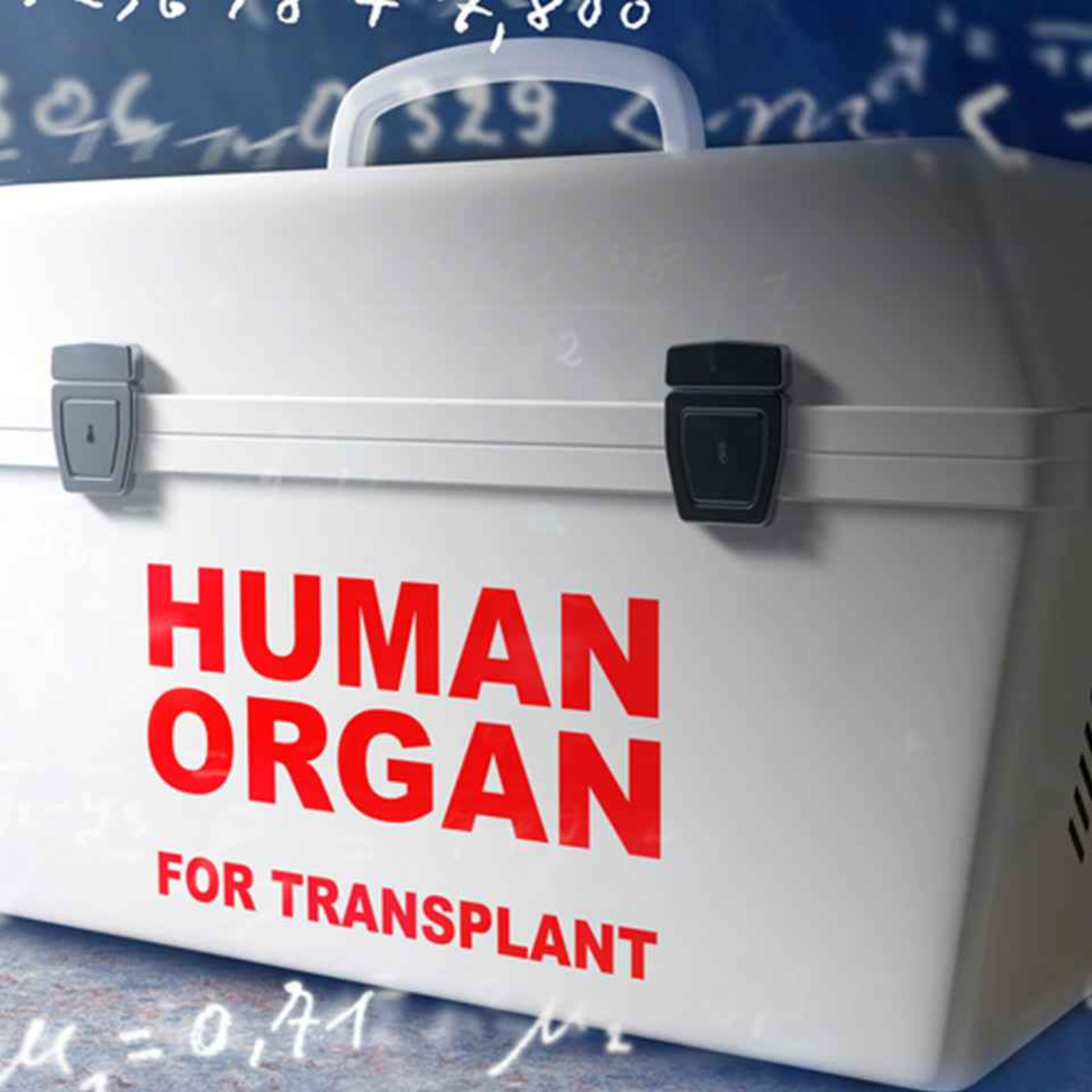 BEWARE! Kate Shemirani & Stuart Wilkie On The National Standards For Organ Retrieval From 