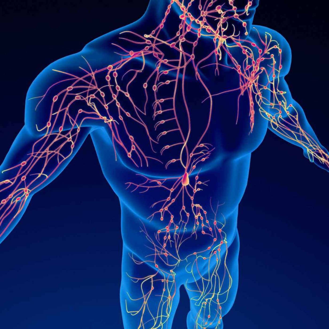 Kate Shemirani: Stagnant Bodies - Emotionally Driven, Psyops, Music & The Devil's Tools