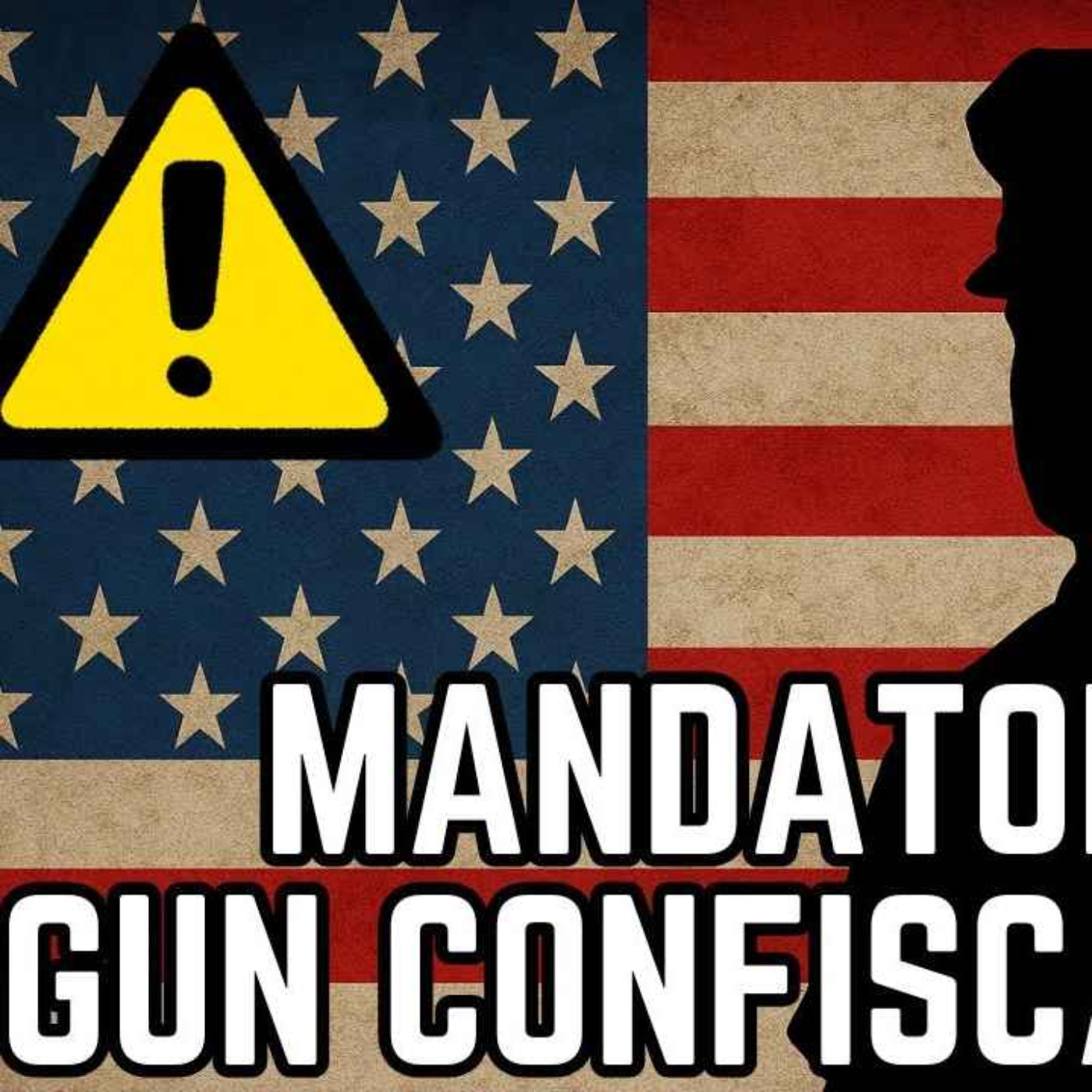 New Pretended "Law" Mandates Cops Take Your Guns? Plus Thoughts On Idolatry