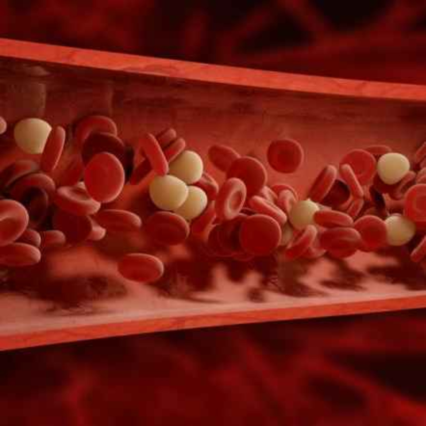 Kate Shemirani: "Sticky Blood" - What's Causing It & What You Can Do About It