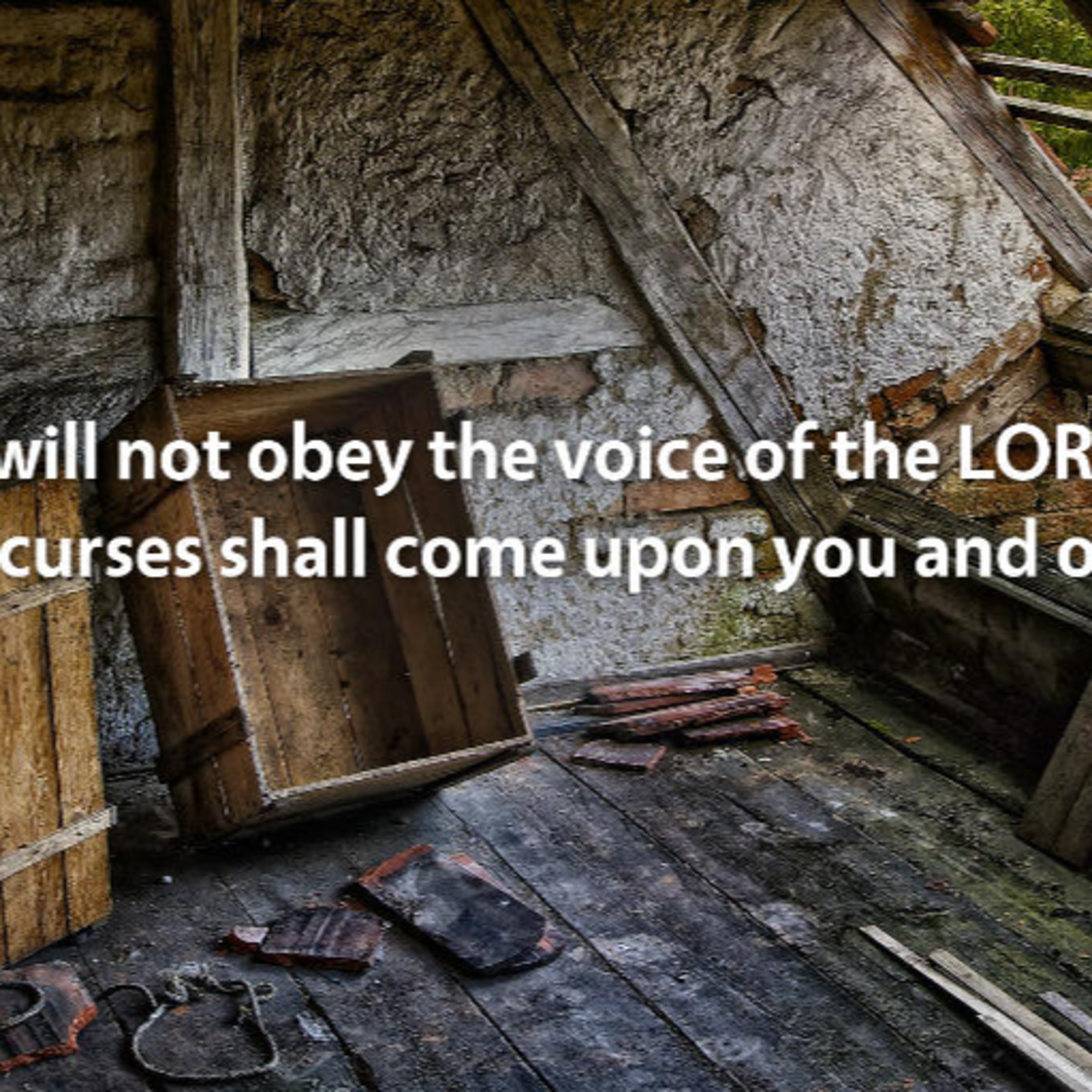 So, You Want To Talk Bible Prophecy? Just Look At The Illegal Alien Invasion