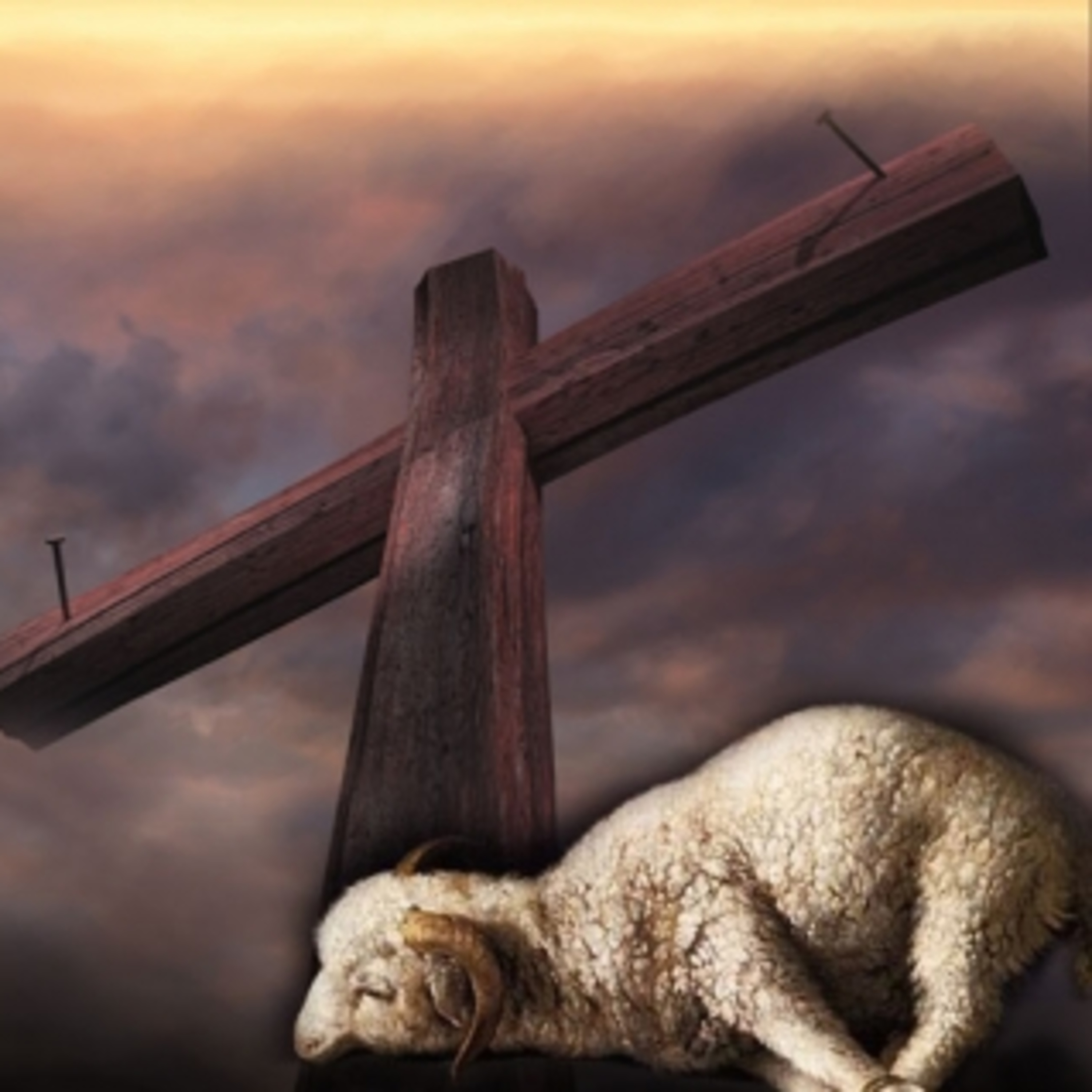 Jesus: The Lamb Of God That Takes Away The Sin Of The World