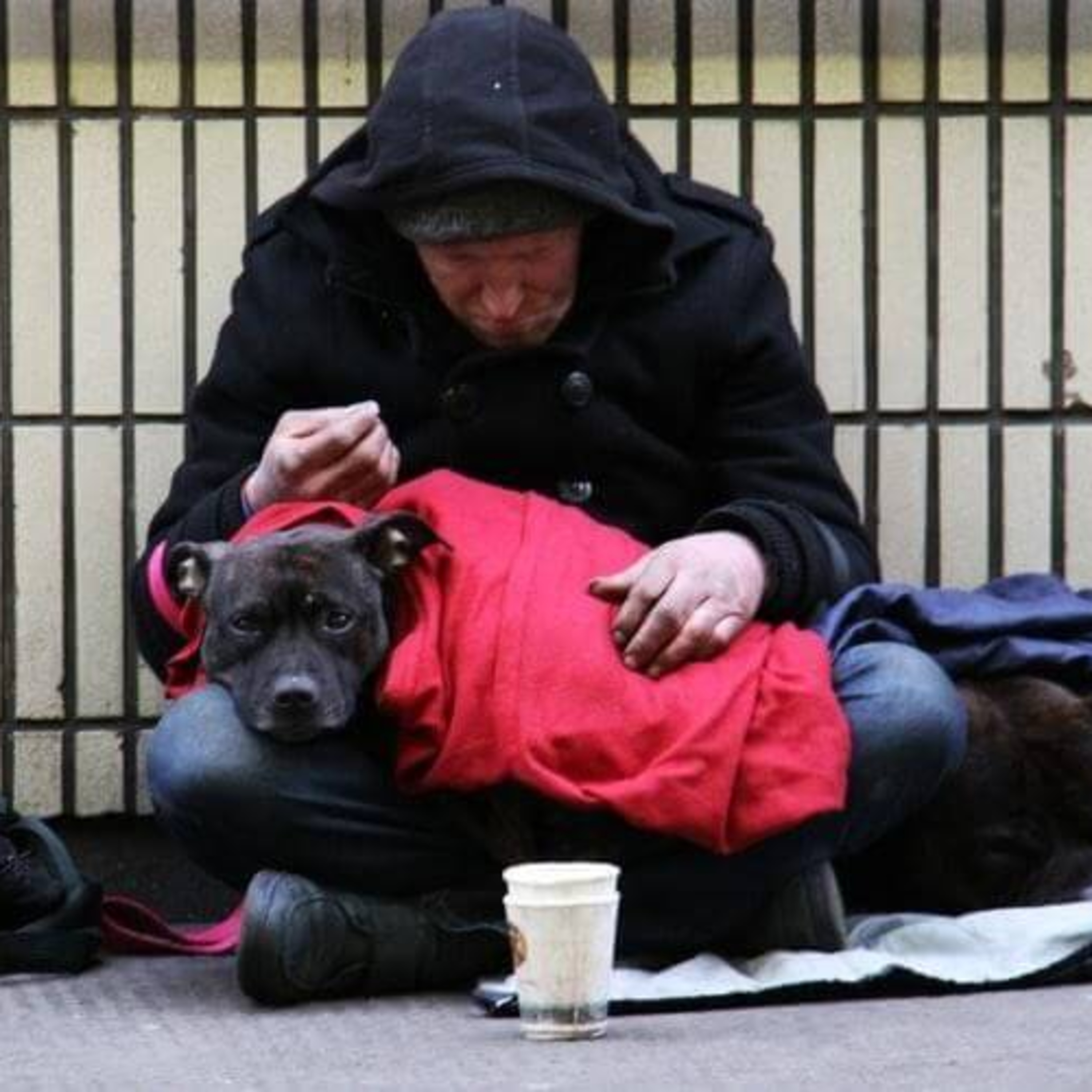 Homeless Veterans & Their Dogs Are On The Streets This Season - This Man Is Going To Them