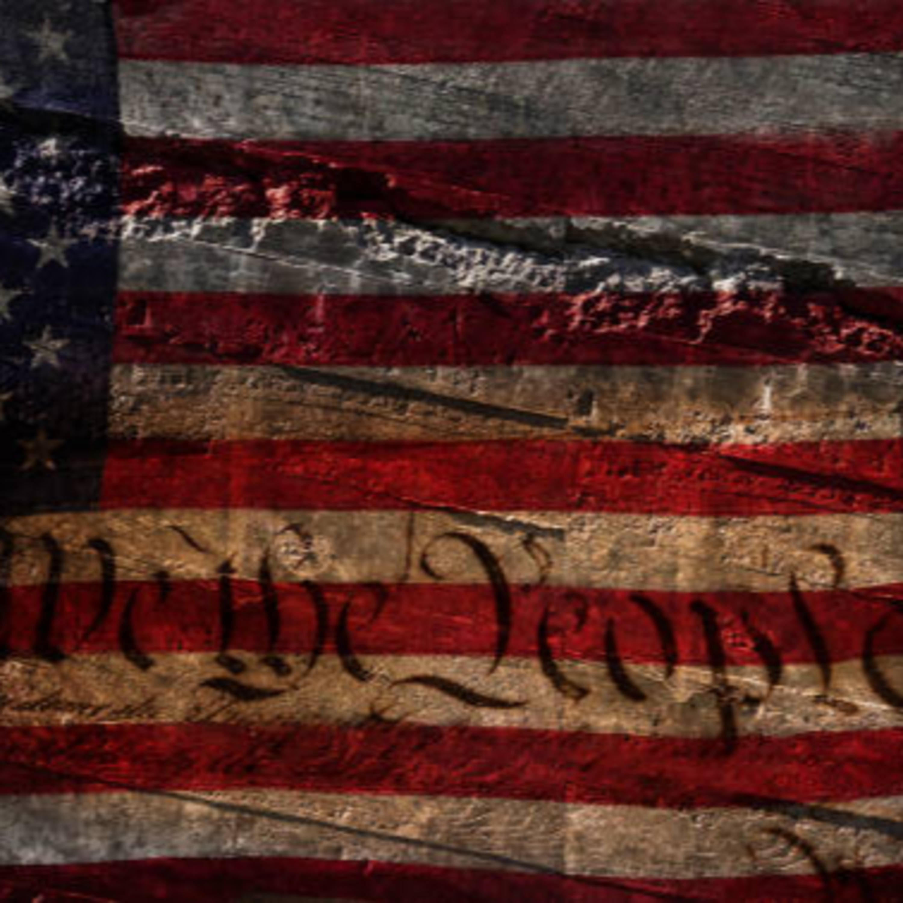 You're Under Attack, America: Rights, Our Children & A Lawless Invasion