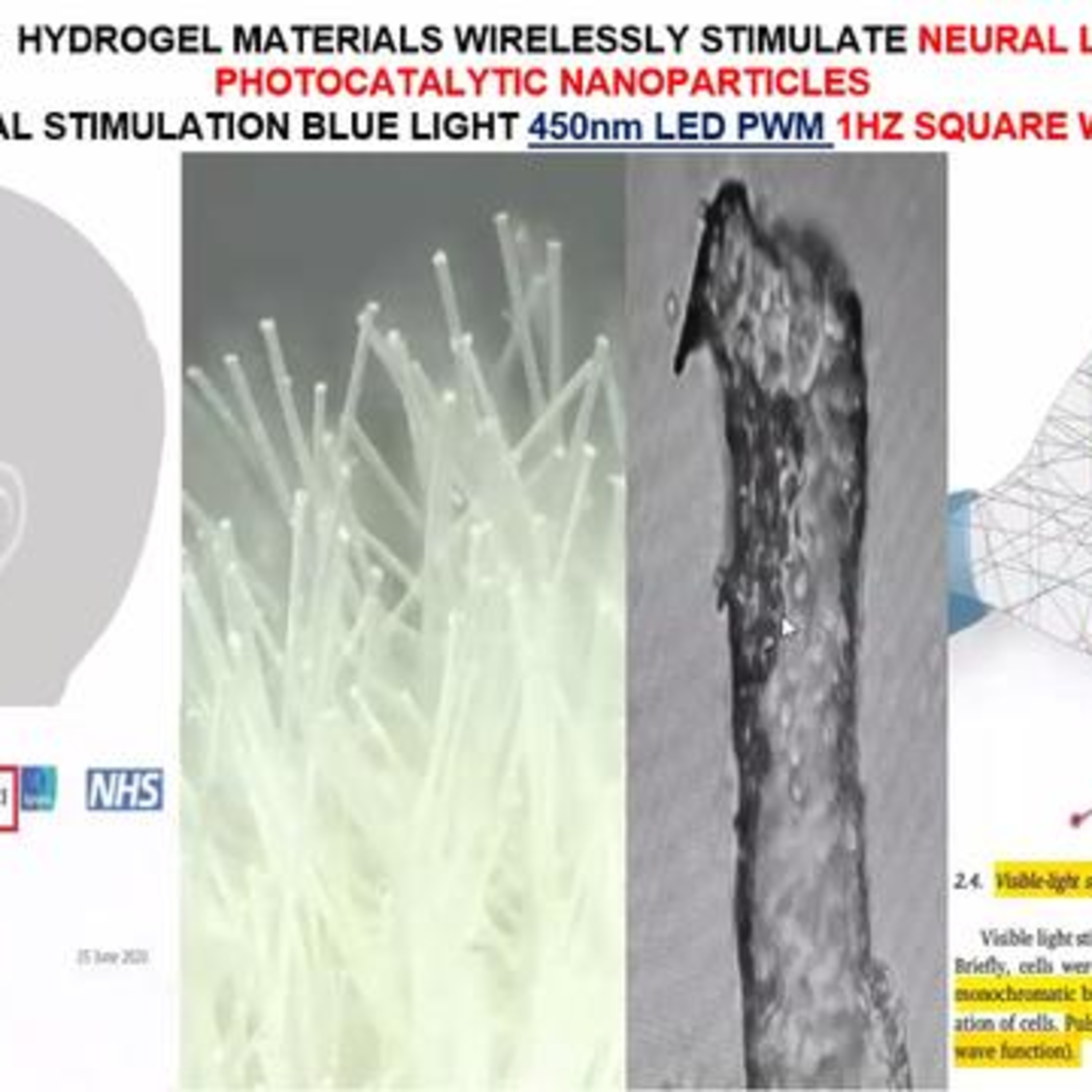 Mark Steele: Are You Paying Attention To Their Secret Agenda Being Carried Out In Front Of Us?