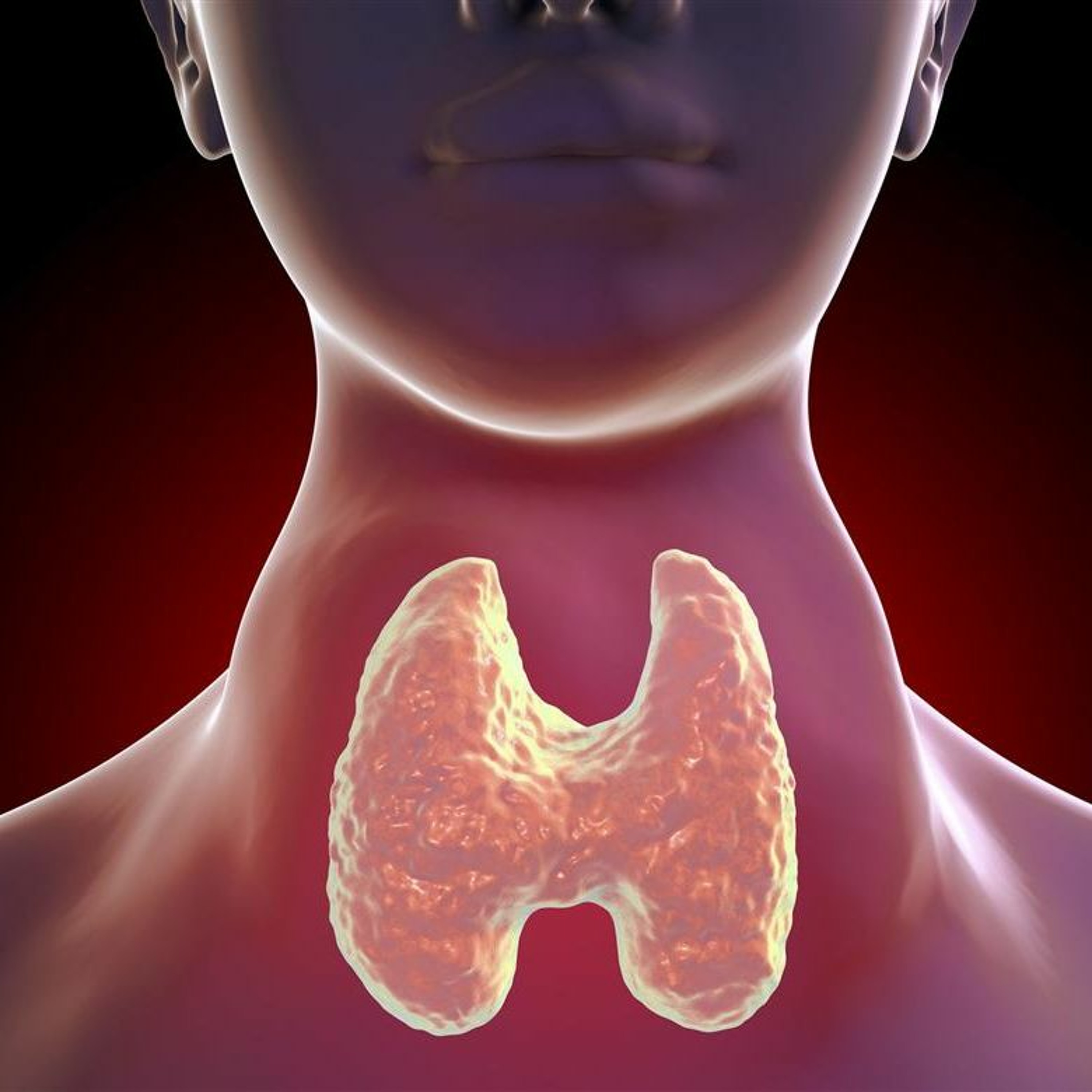 The Importance Of The Thyroid Gland & The Use Of Iodine With Kate Shemirani