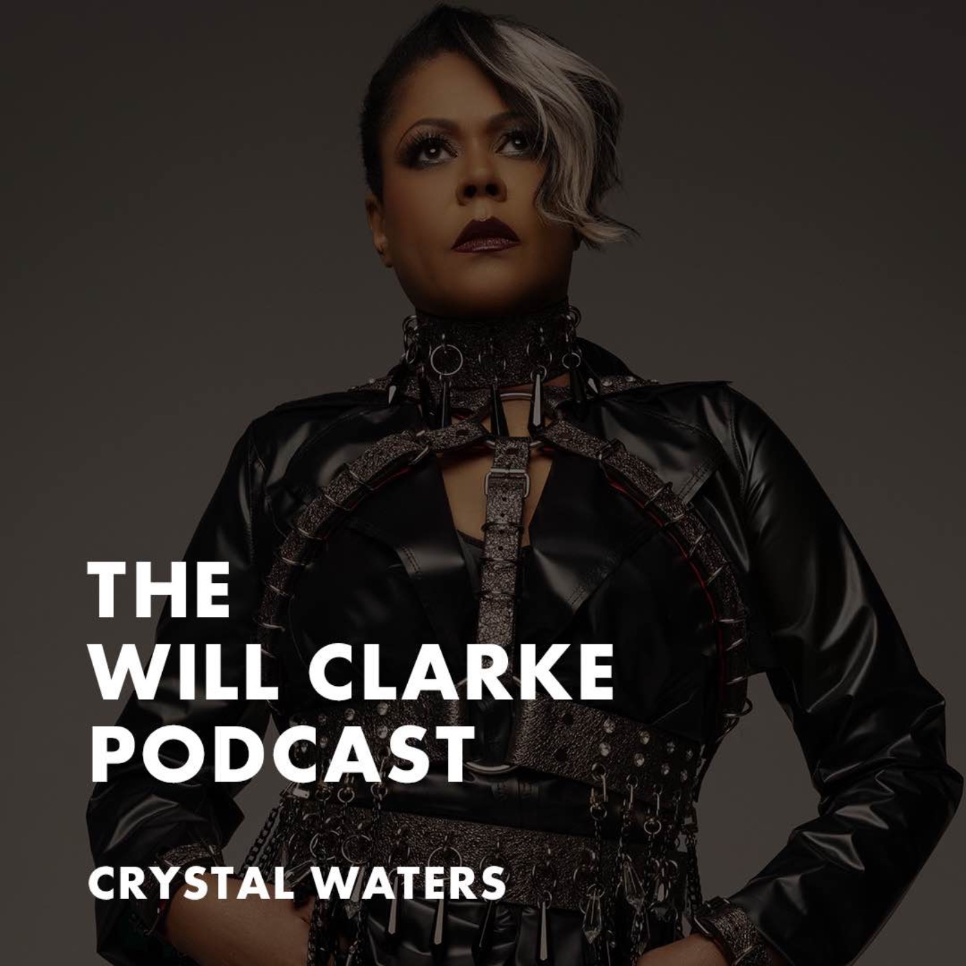 Crystal Waters - 
