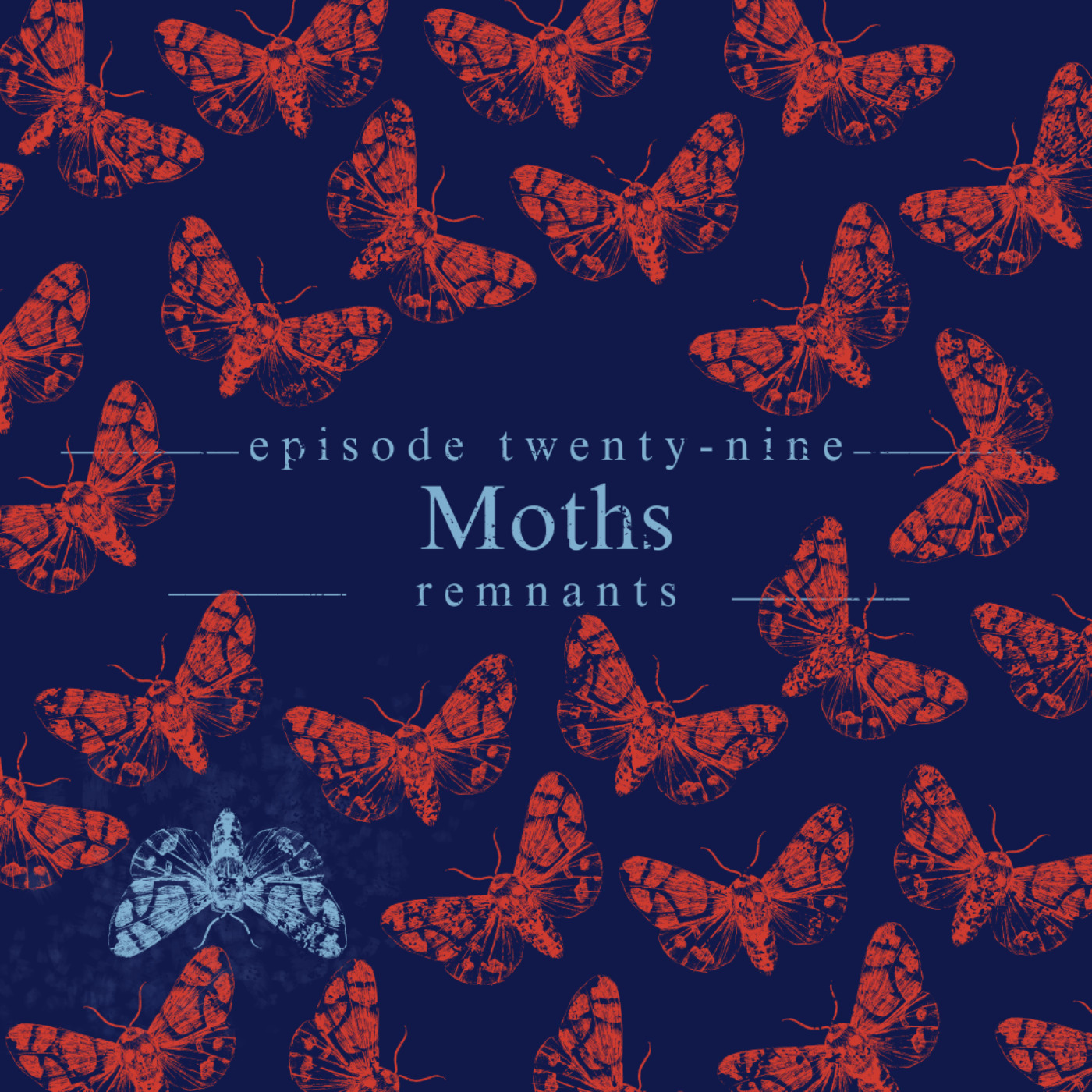 29. Moths