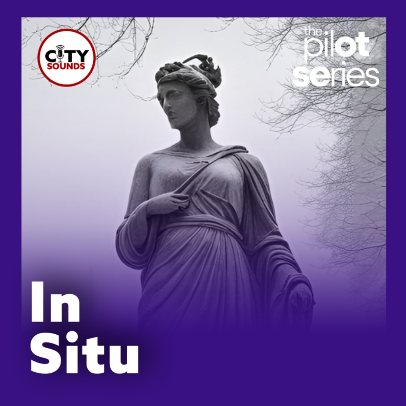 The Pilot Series: In Situ