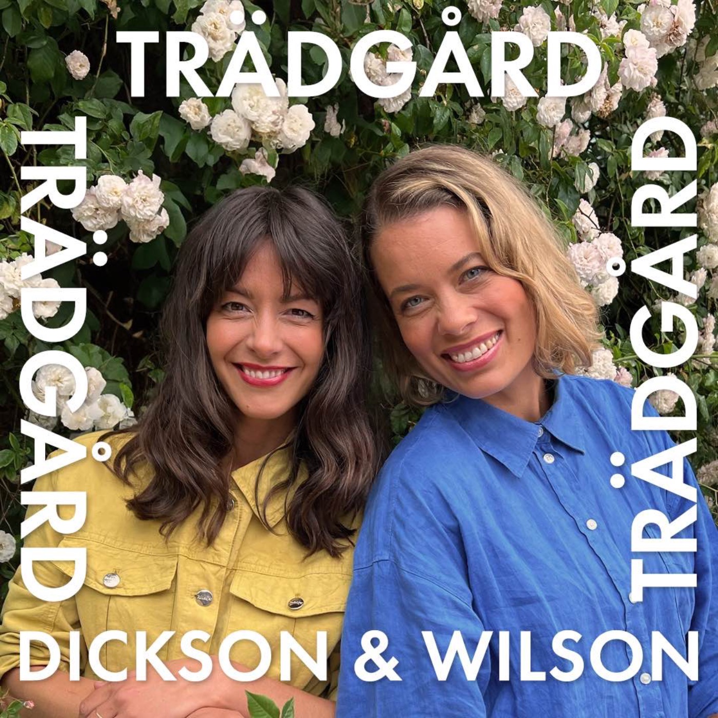 Trädgård Trädgård Trädgård med Dickson och Wilson