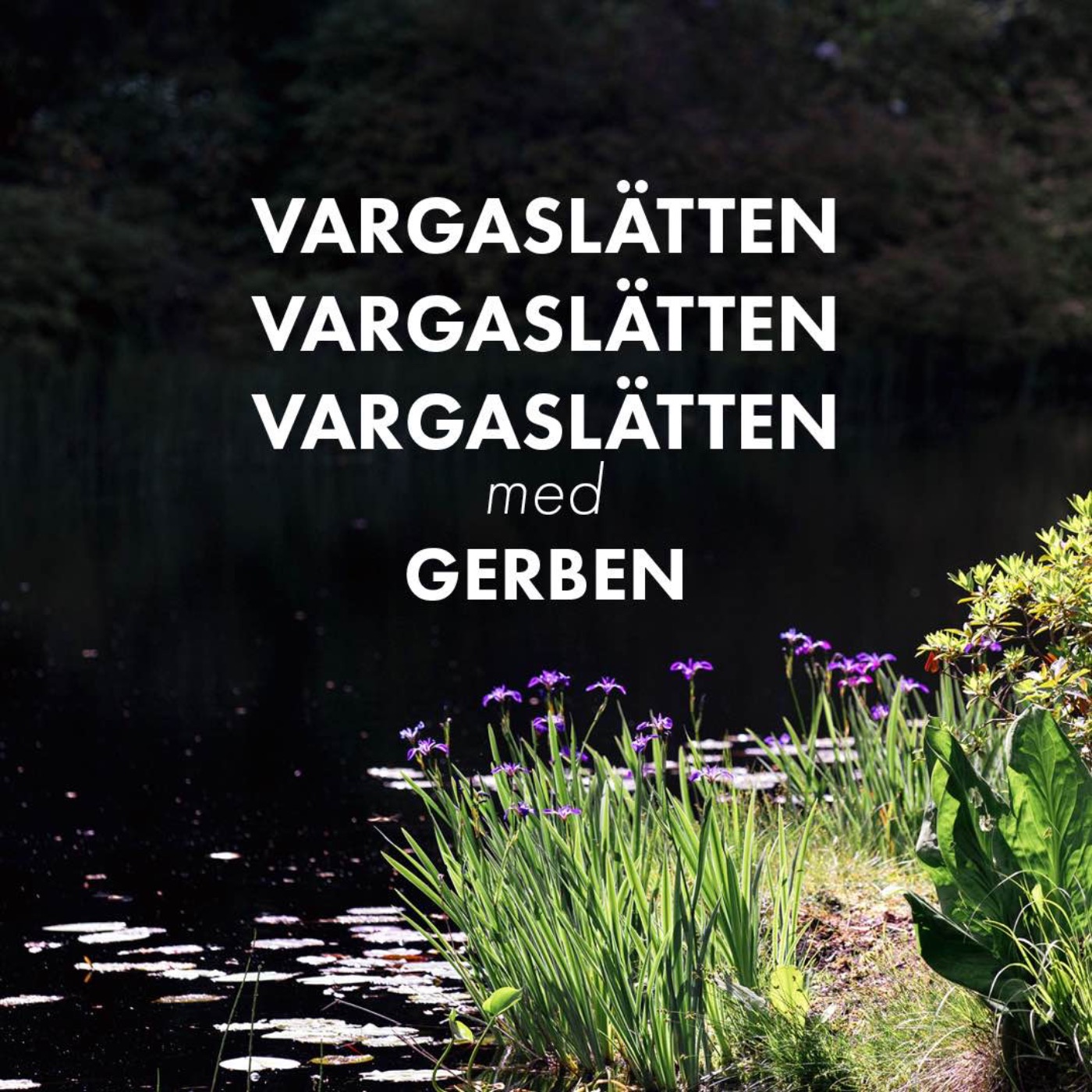 En rundvandring på Vargaslätten med Gerben Tjeerdsma episode artwork