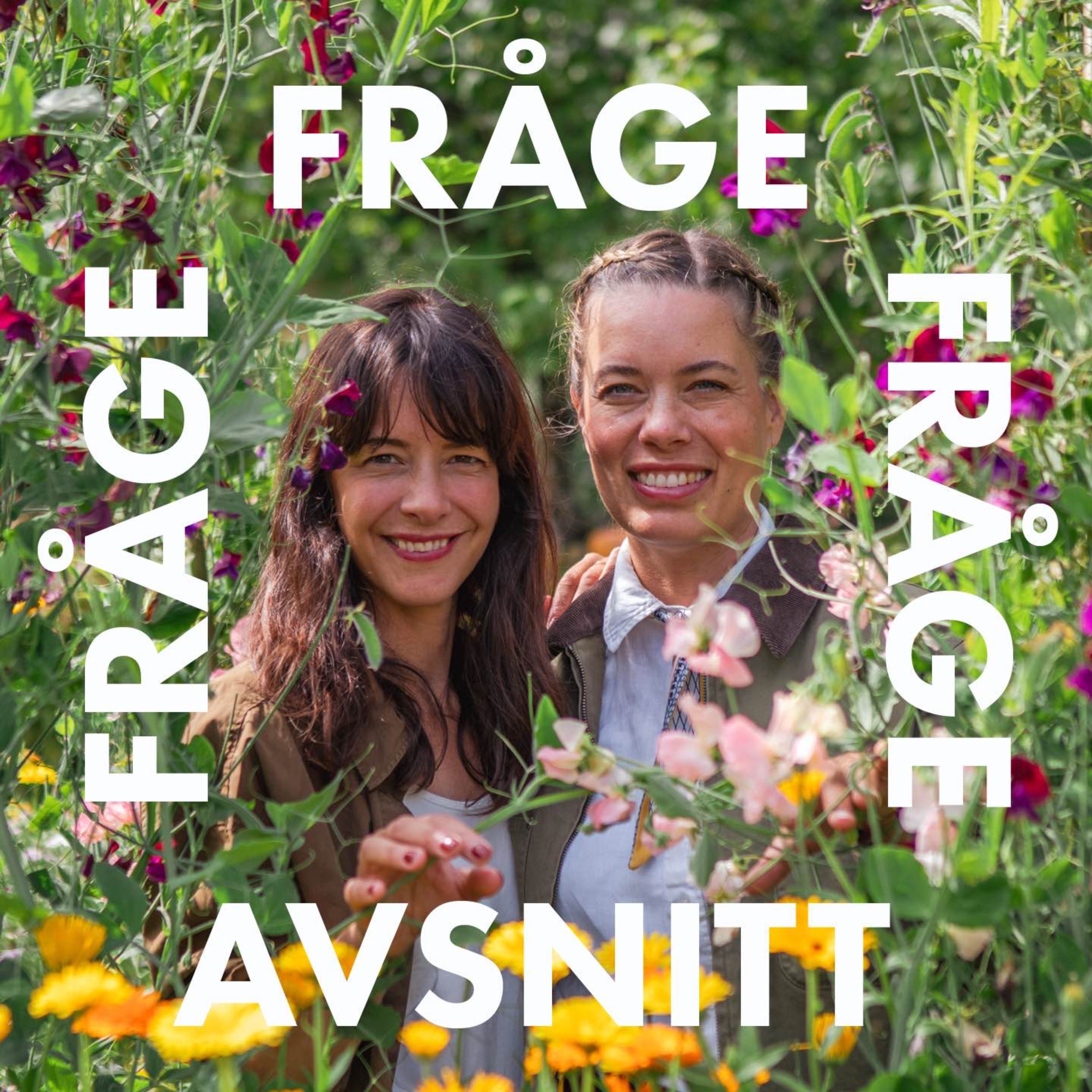 Frågeavsnitt: Bra marktäckare under rosor och äppelträd episode artwork