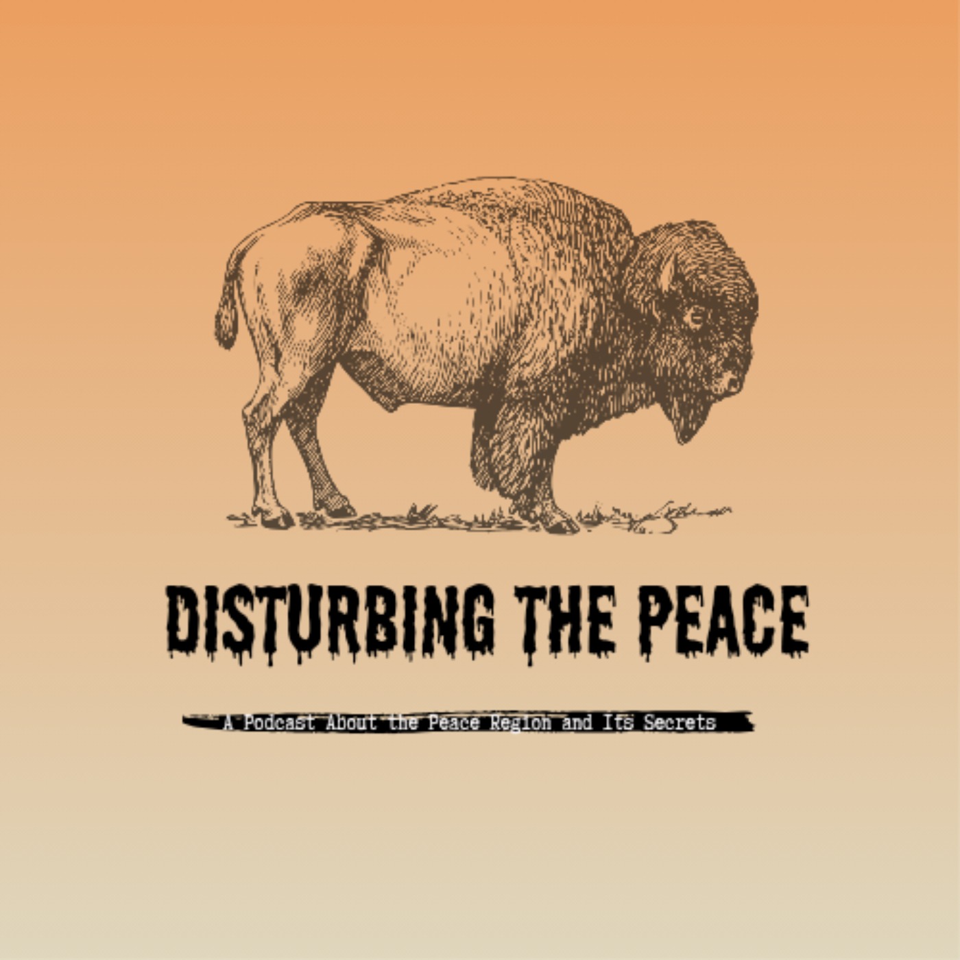 Disturbing The Peace