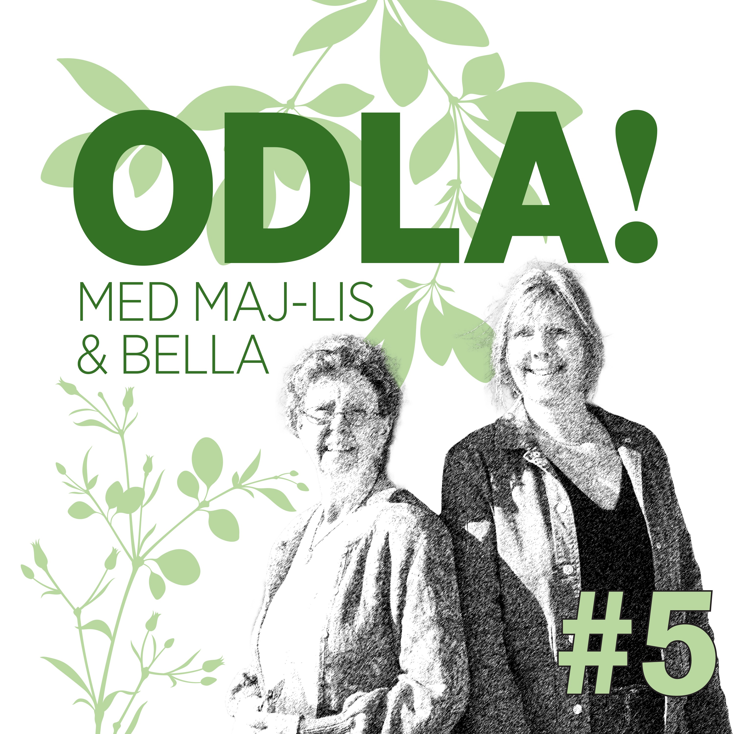 ODLA!