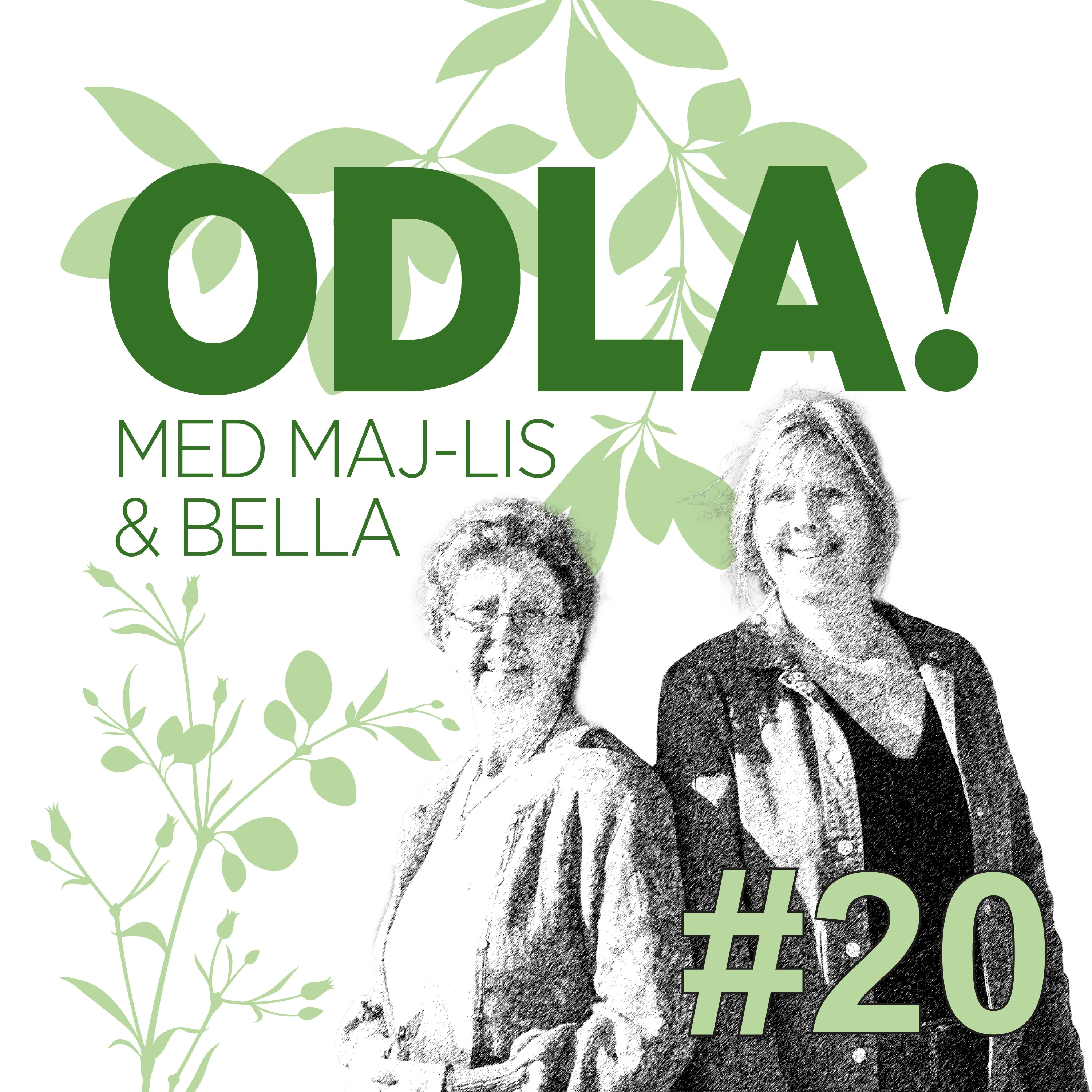 ODLA!