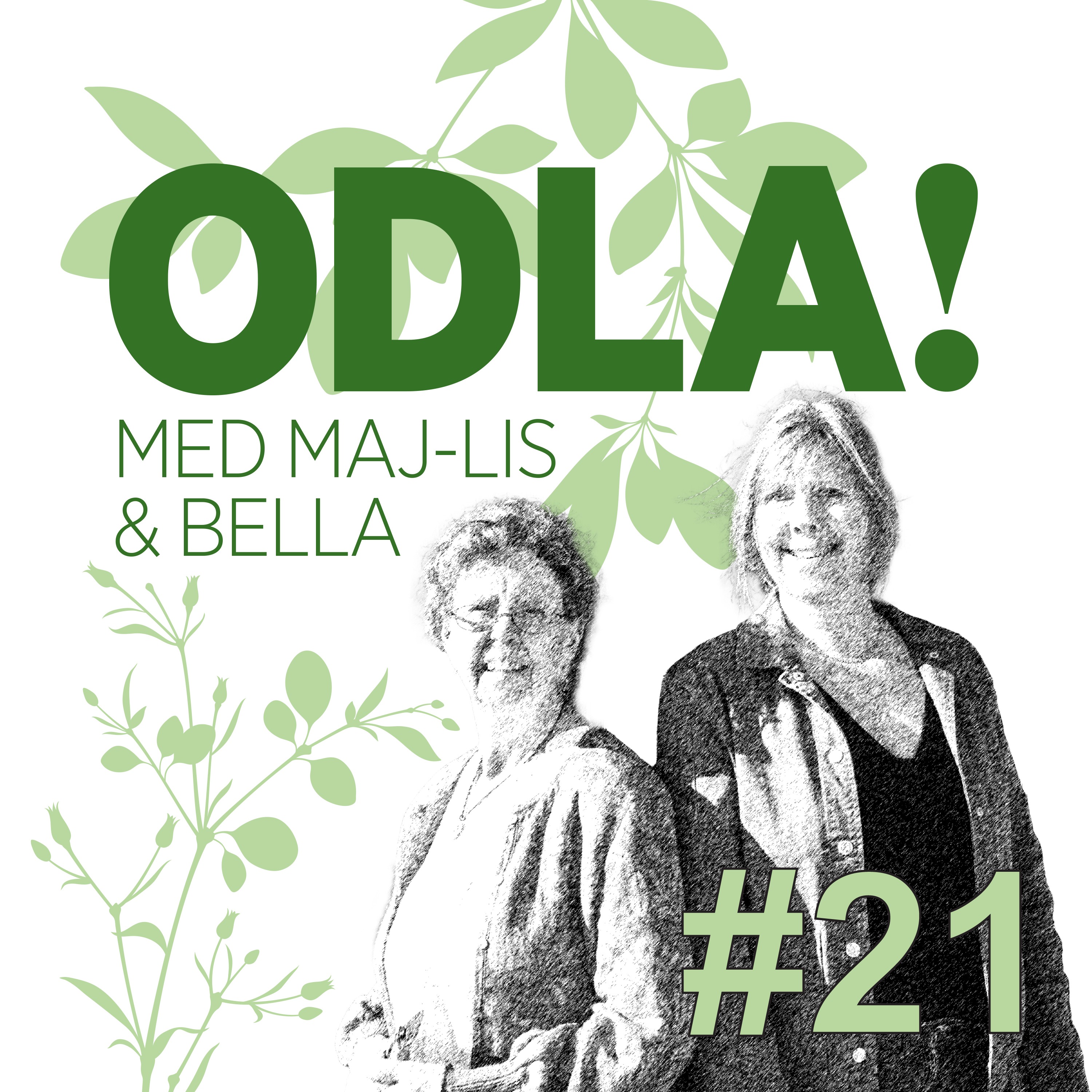 ODLA!