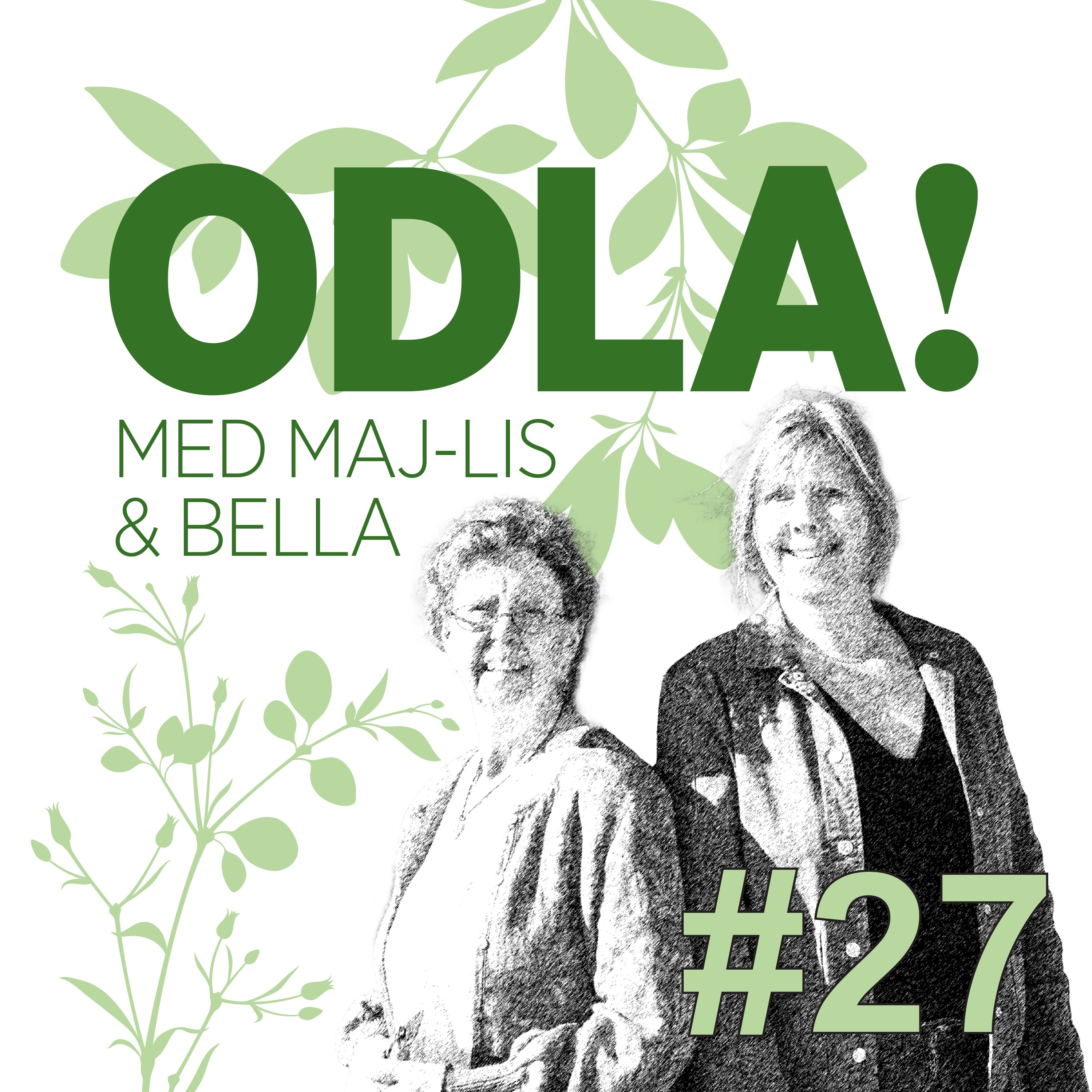 ODLA!