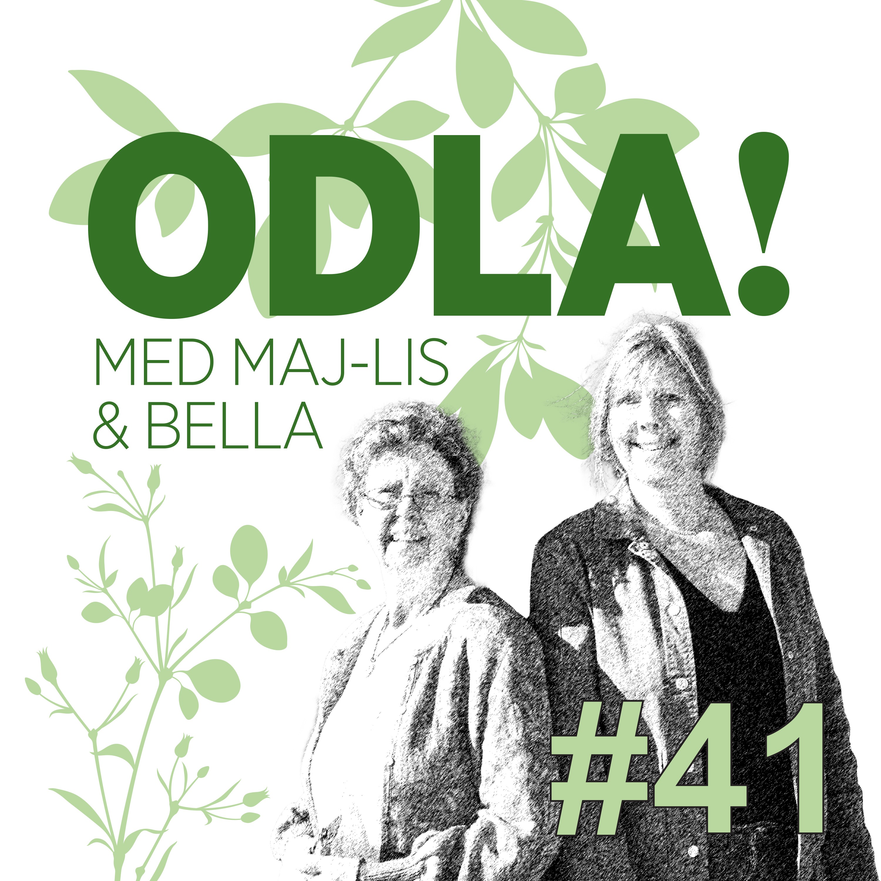 Episode Logo