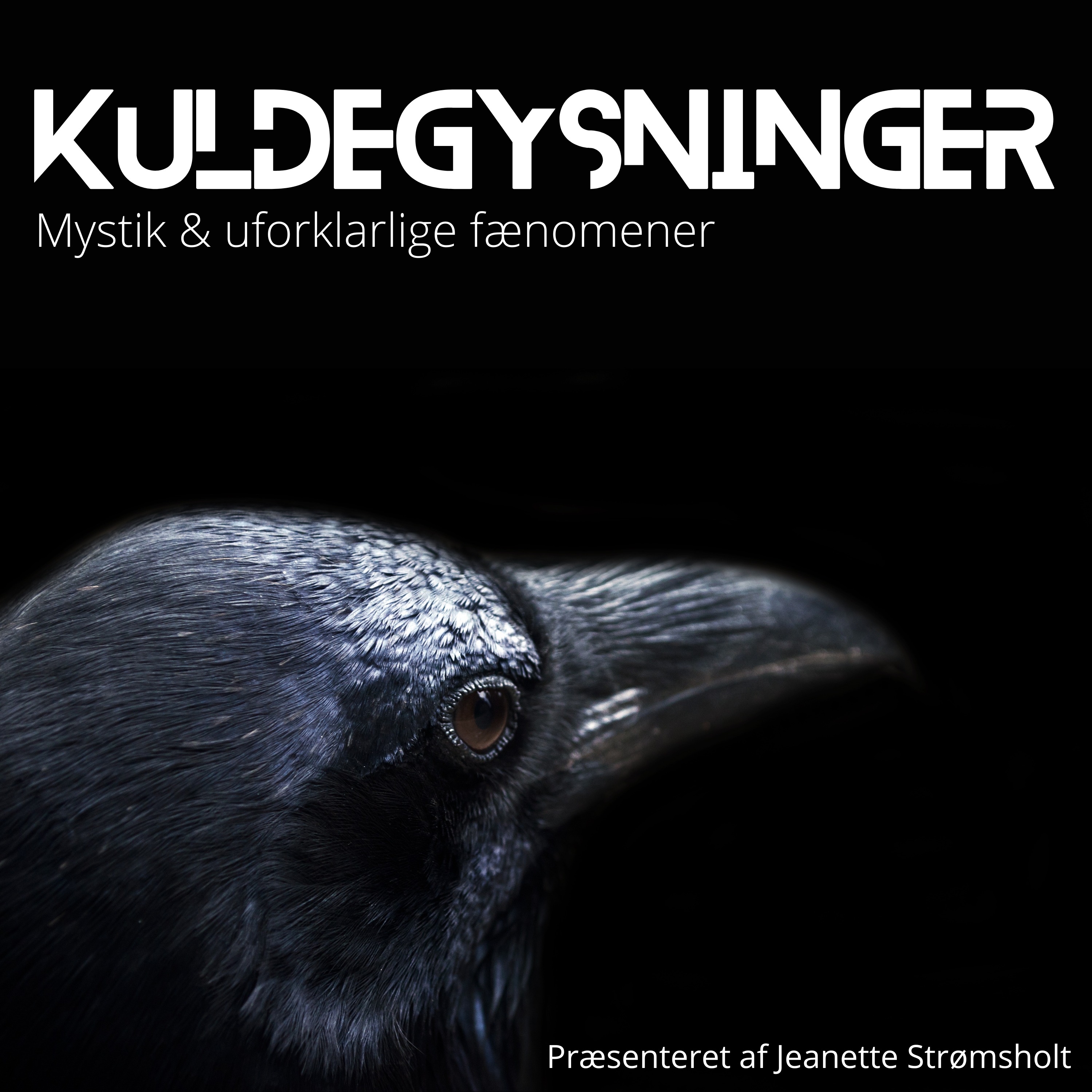 cover art for Kuldegysninger - Episode 3 - MINI HORROR 1